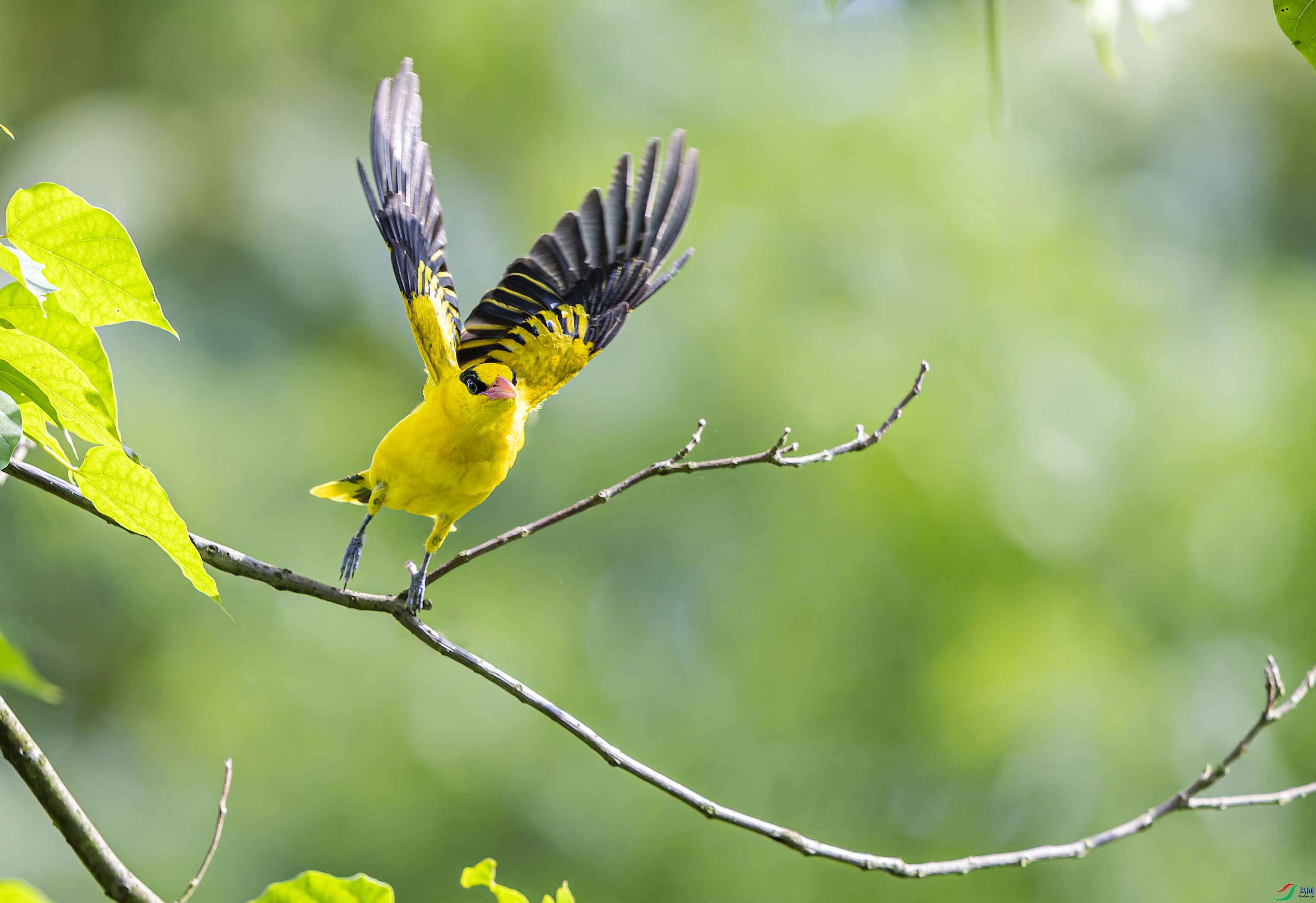 L25_0564���� ����.jpg