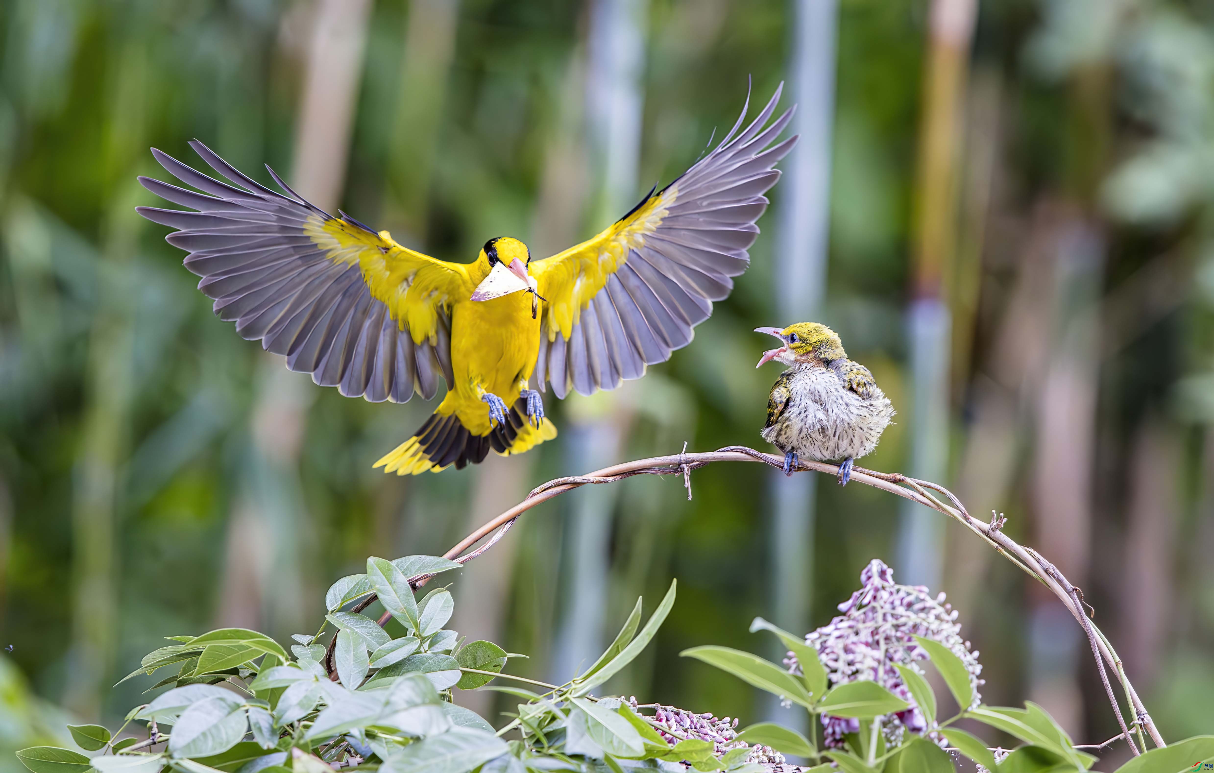 L25_8250-����ǿ-NR ����.jpg