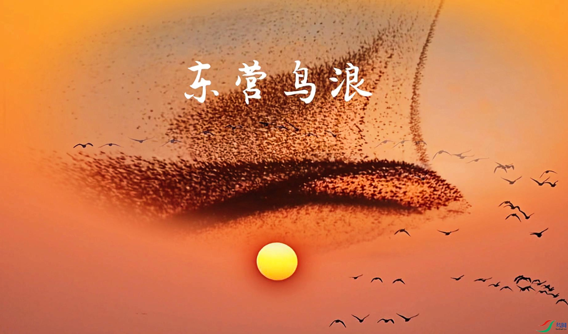 12��10�� (2)-����.jpg