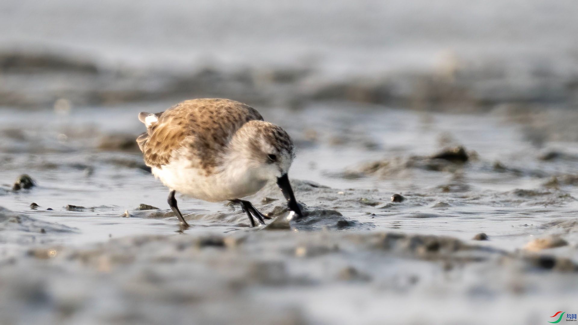 _DSC9984 ����.jpg