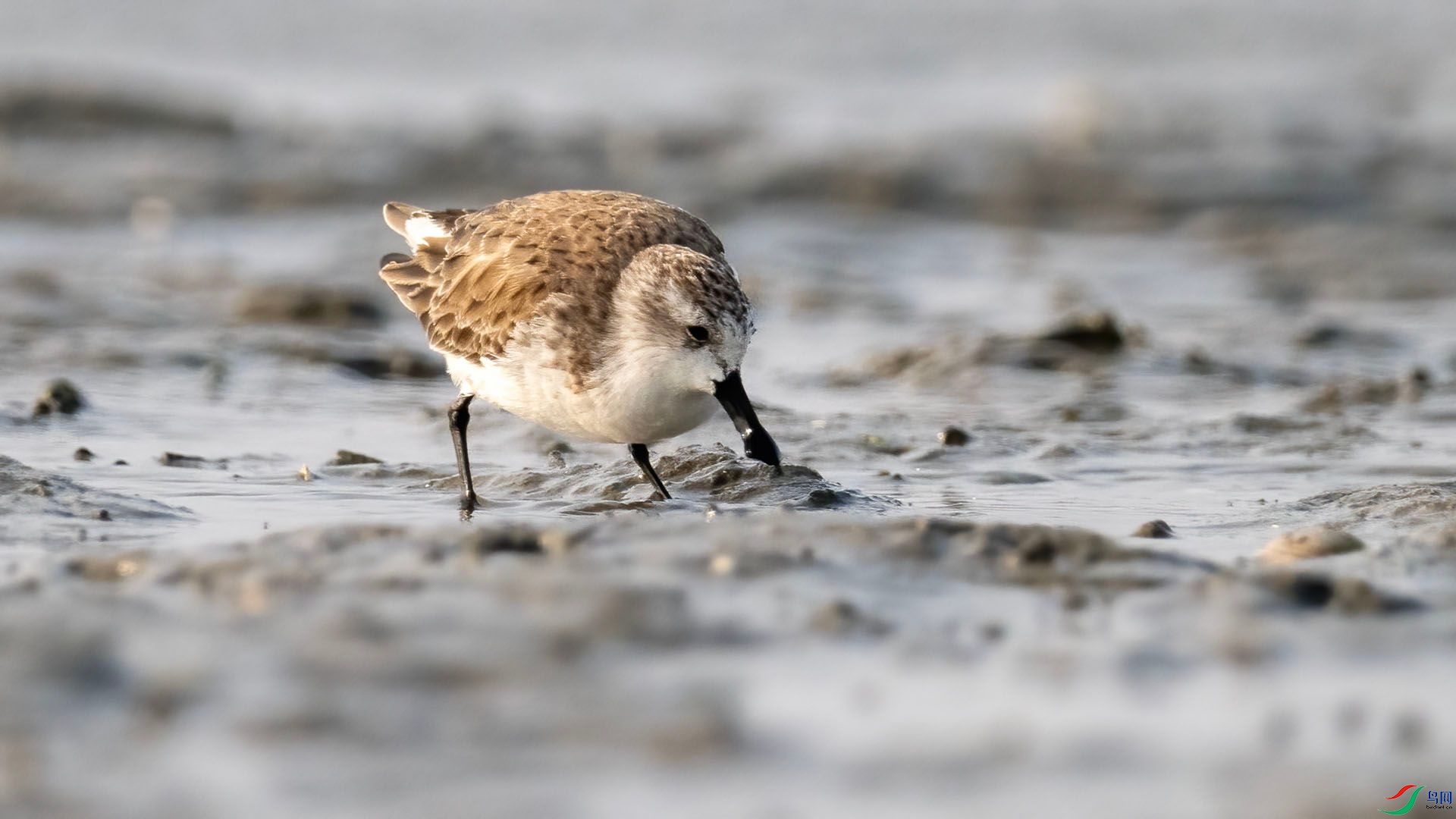 _DSC9986 ����.jpg