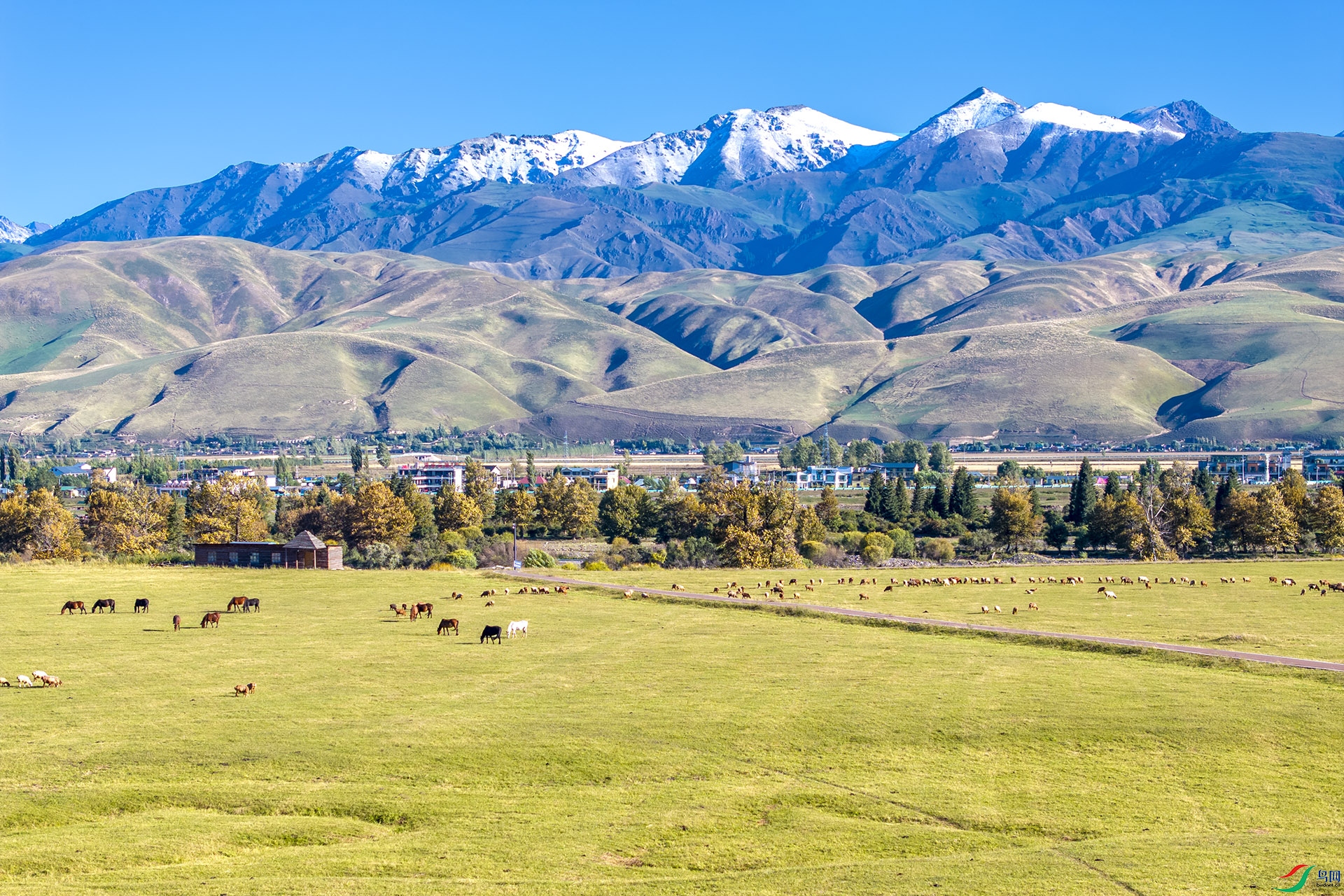 DJI_20240904100138_0008_D ����.jpg