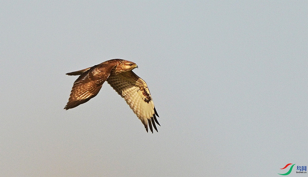 DSC_8840.JPG
