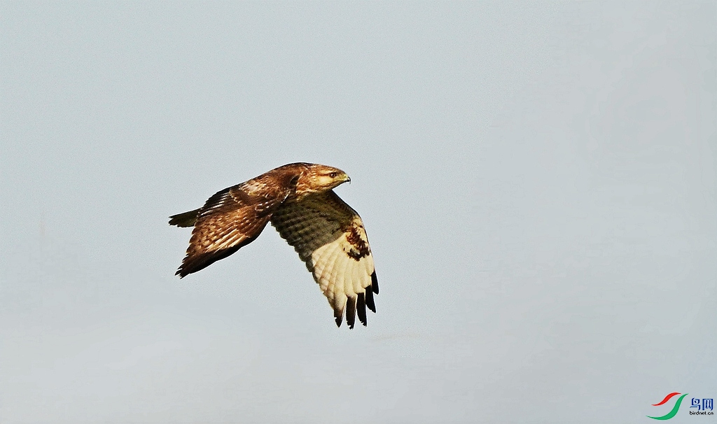 DSC_8845.JPG