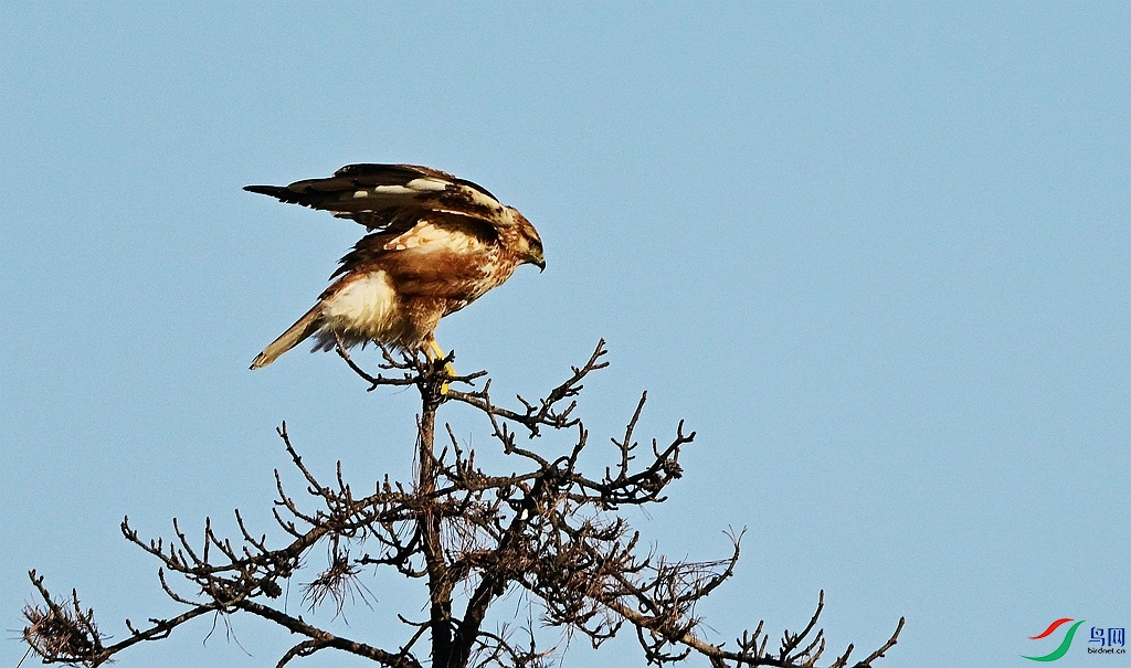 DSC_8914.JPG