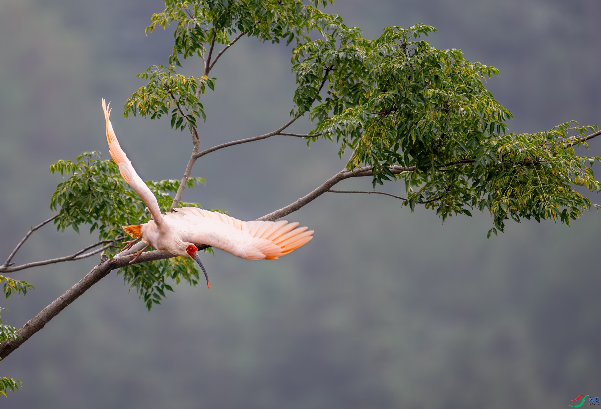 DSC_9910-1.jpg