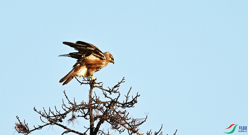 DSC_8915.JPG