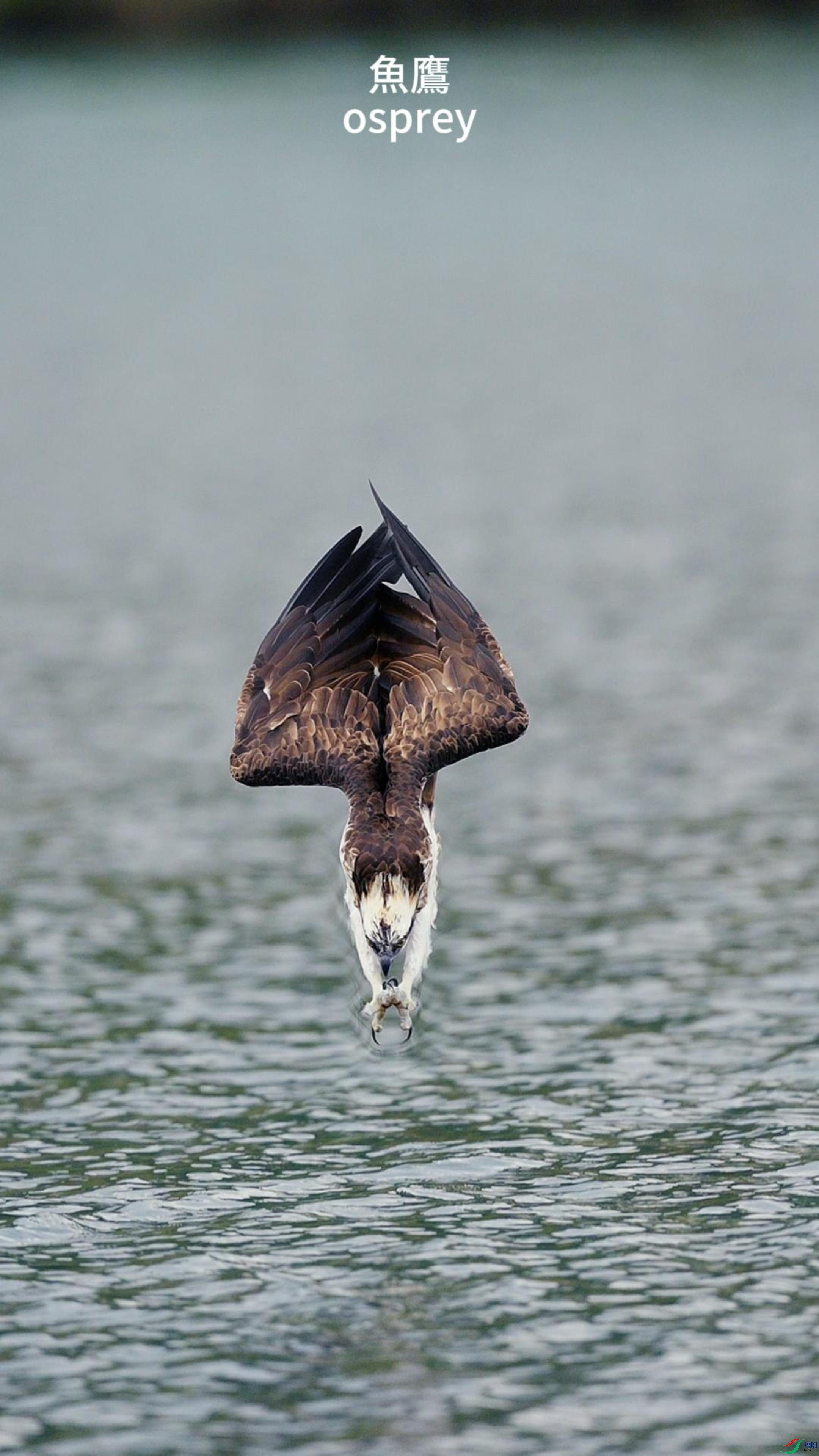 12��22�� (1)-����.jpg