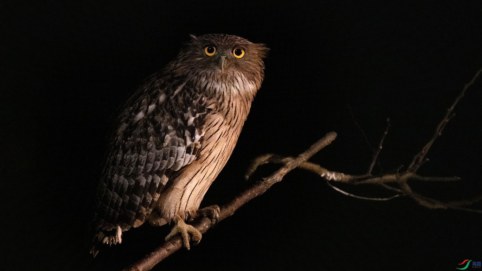 DSC_3115 ����_����.jpg