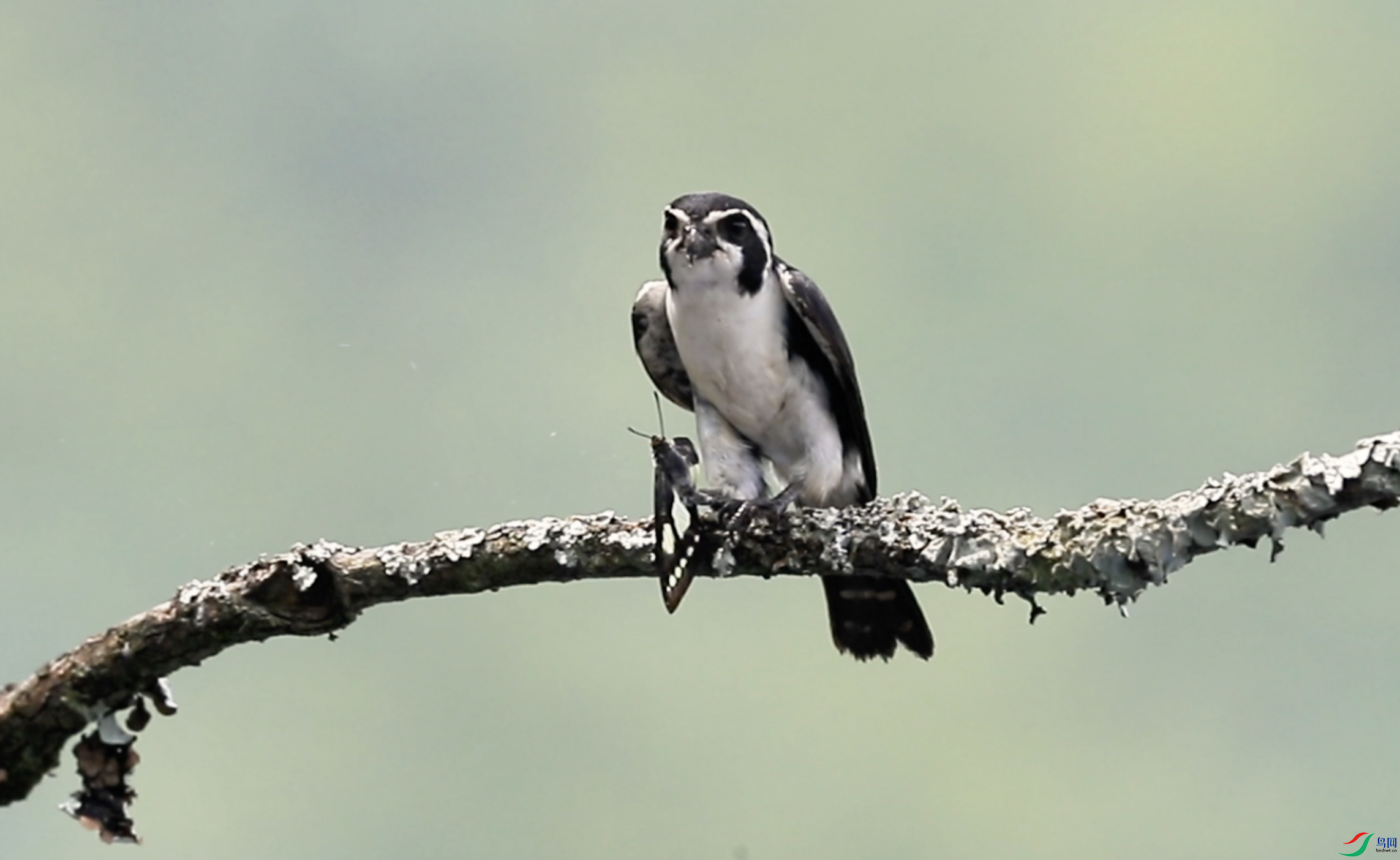 ����2025-12-20 20.56.13.png