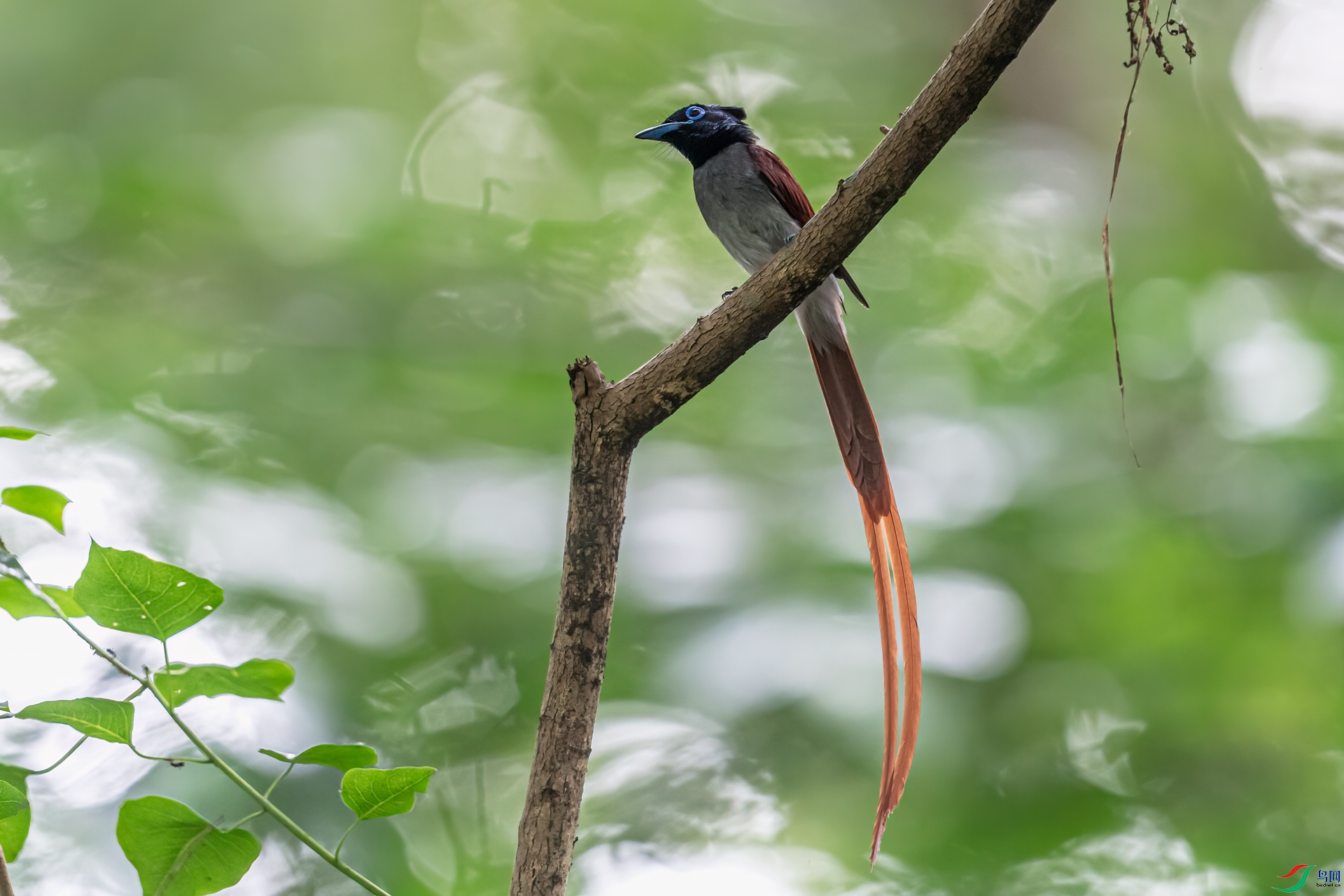 DSC_6292-11.jpg