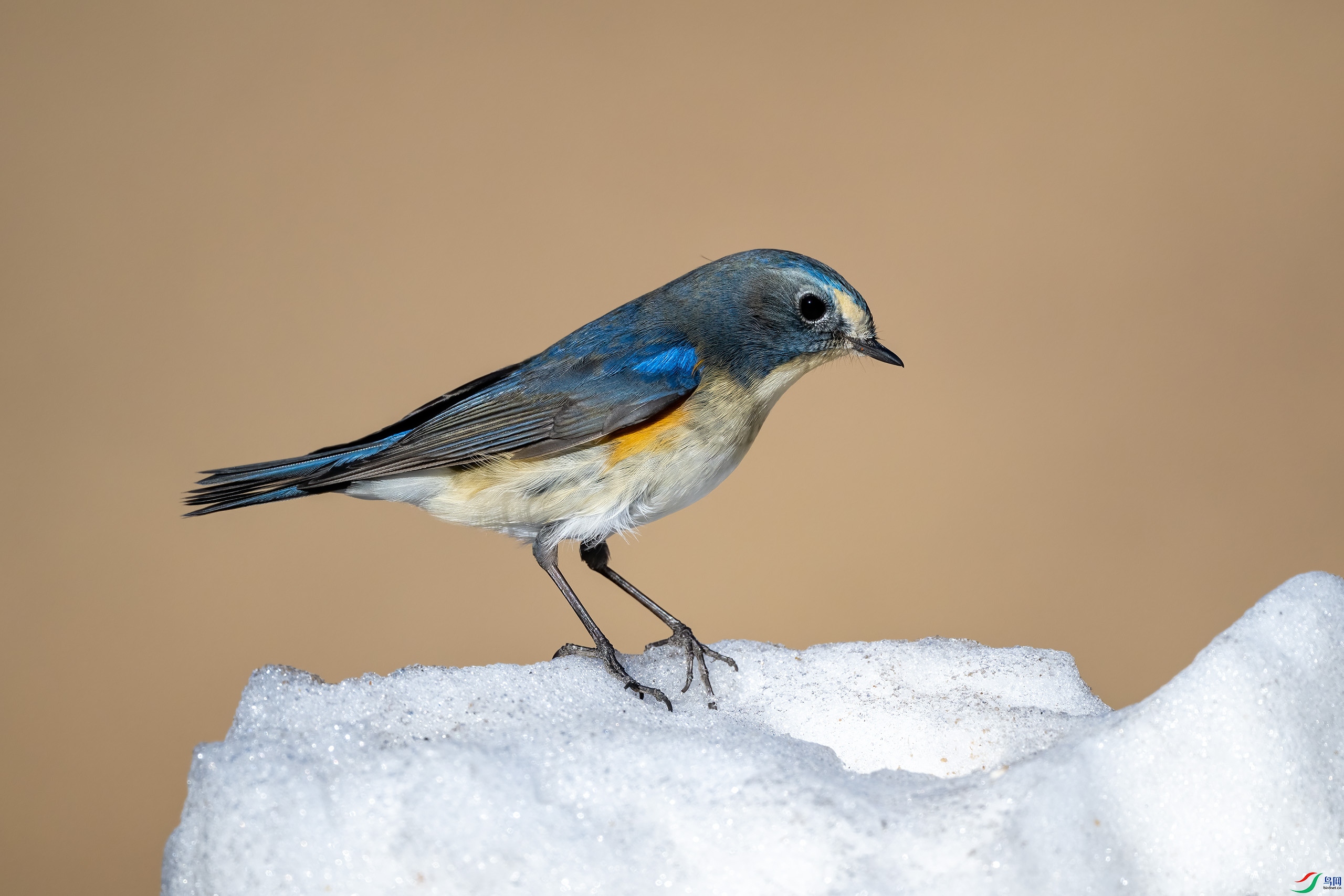 _DSC5877-.jpg