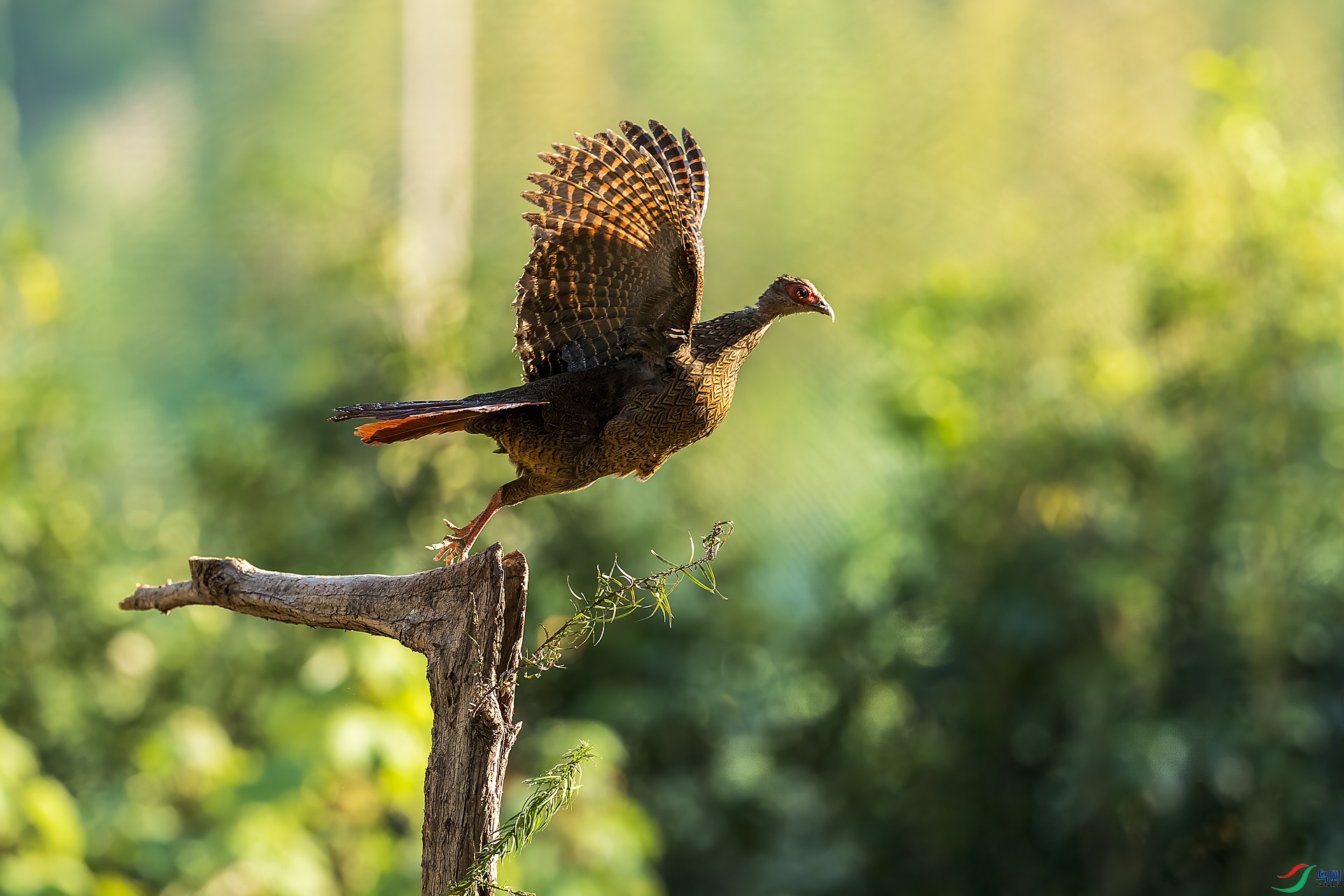 _DSC0692 ����.jpg