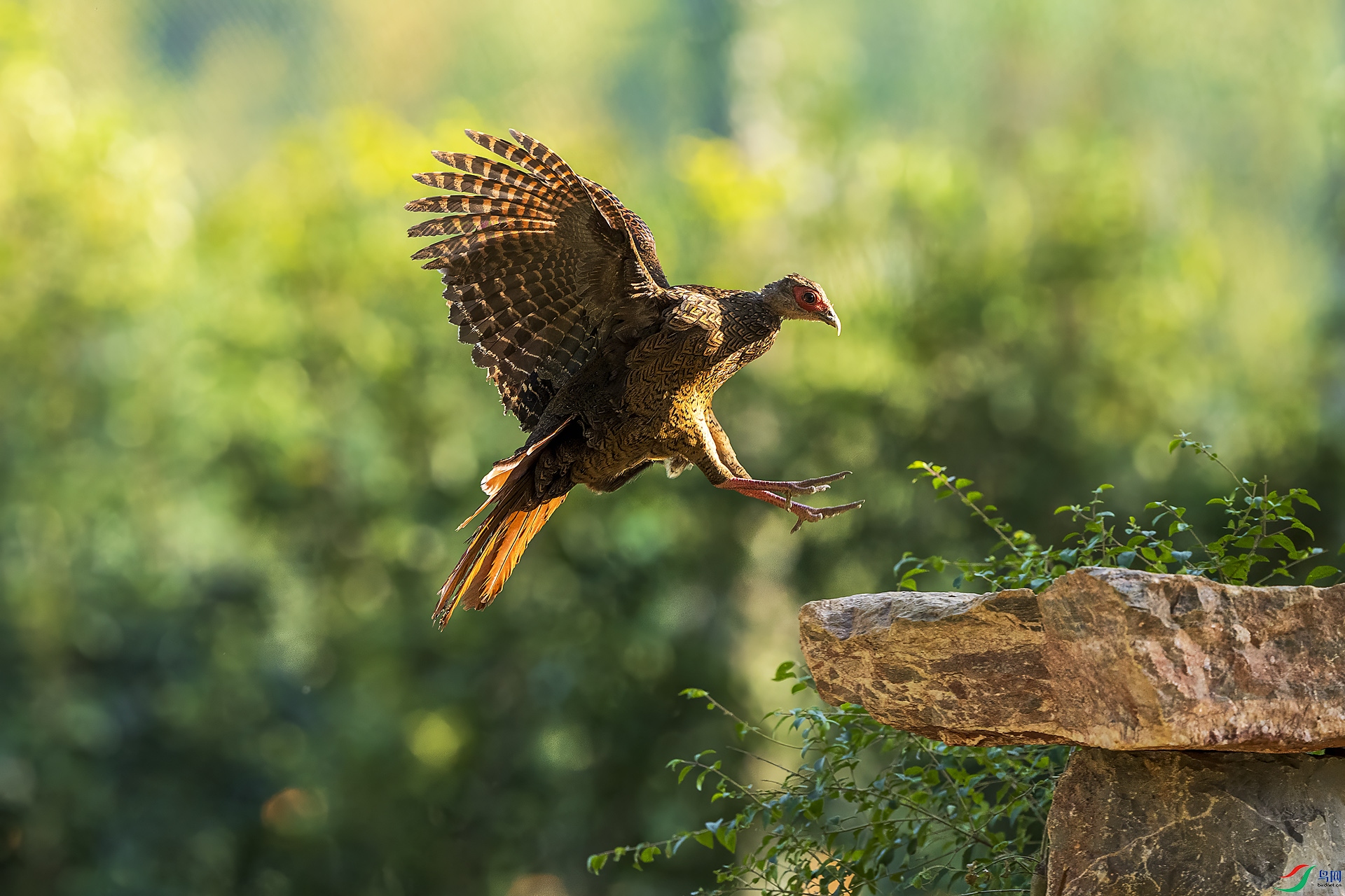 _DSC0702 ����.jpg