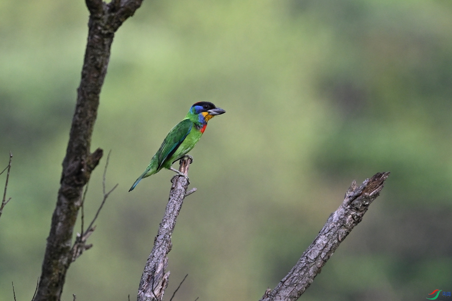 DSC_0159.JPG