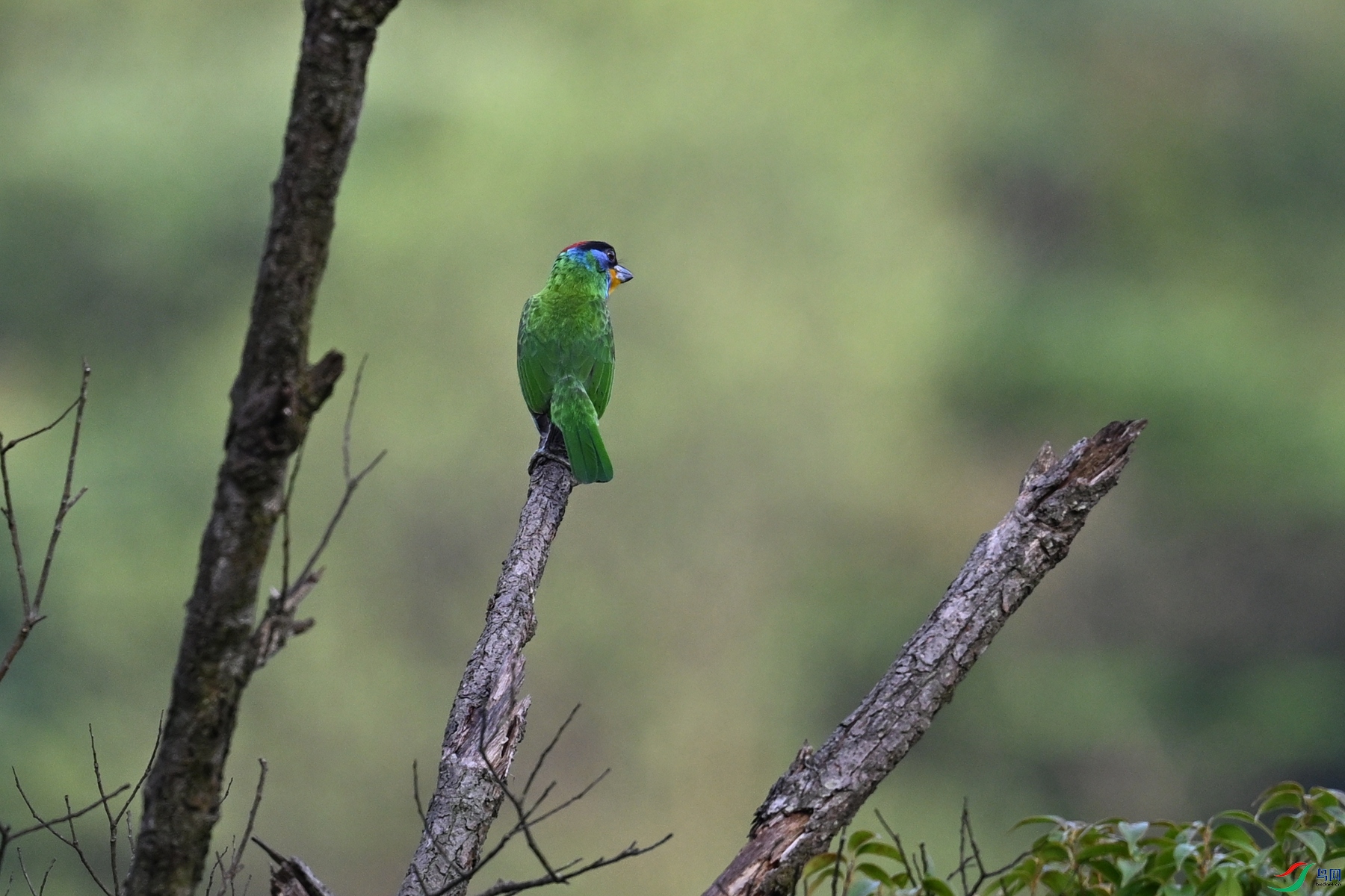 DSC_0137.JPG