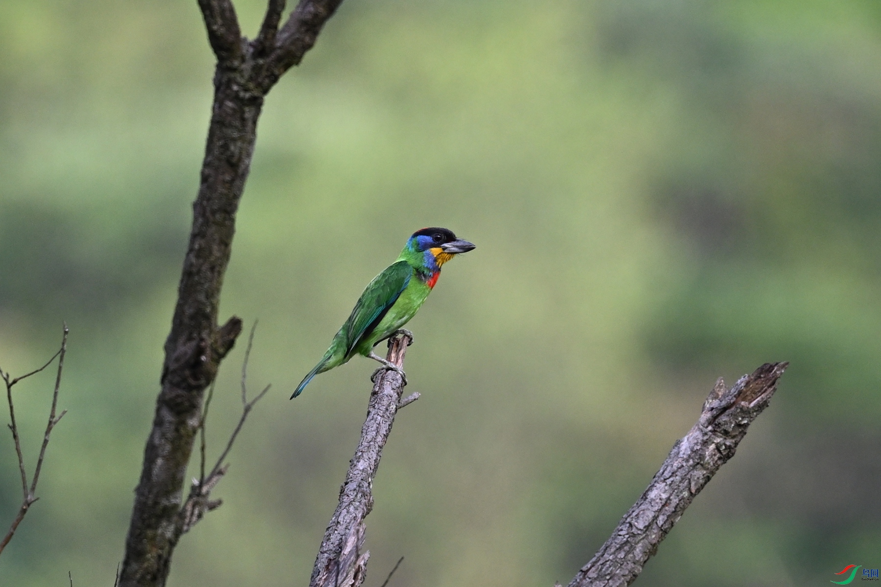 DSC_0157.JPG
