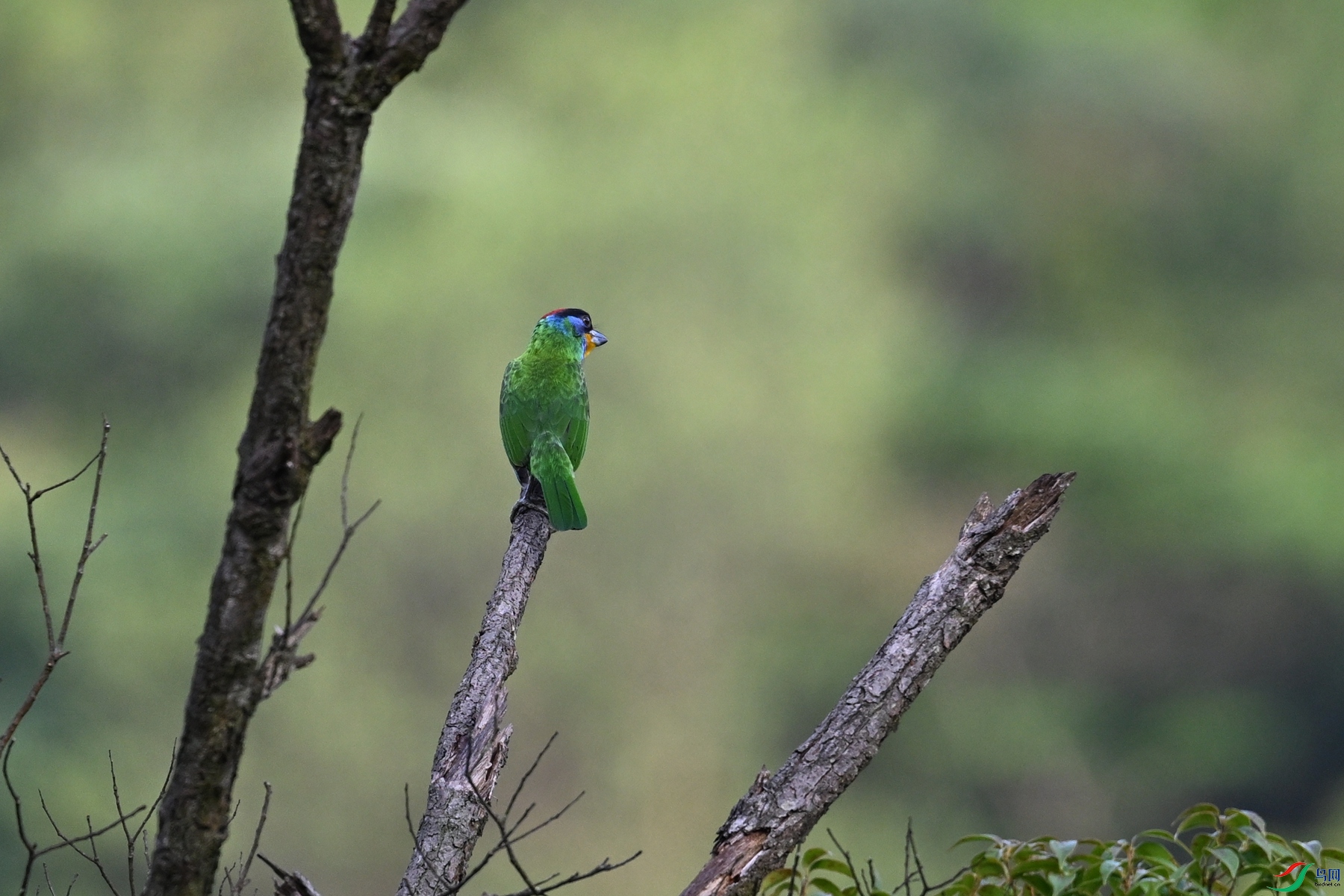 DSC_0138.JPG