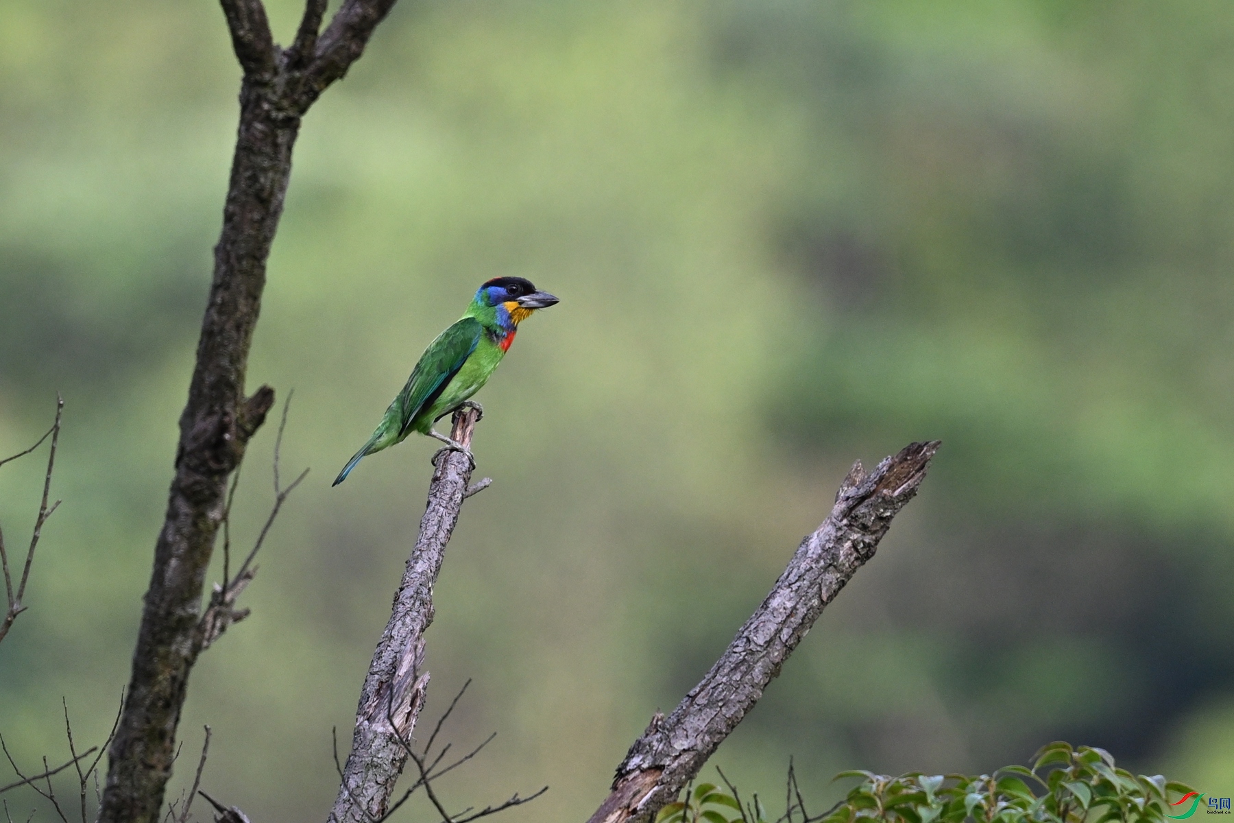 DSC_0156.JPG