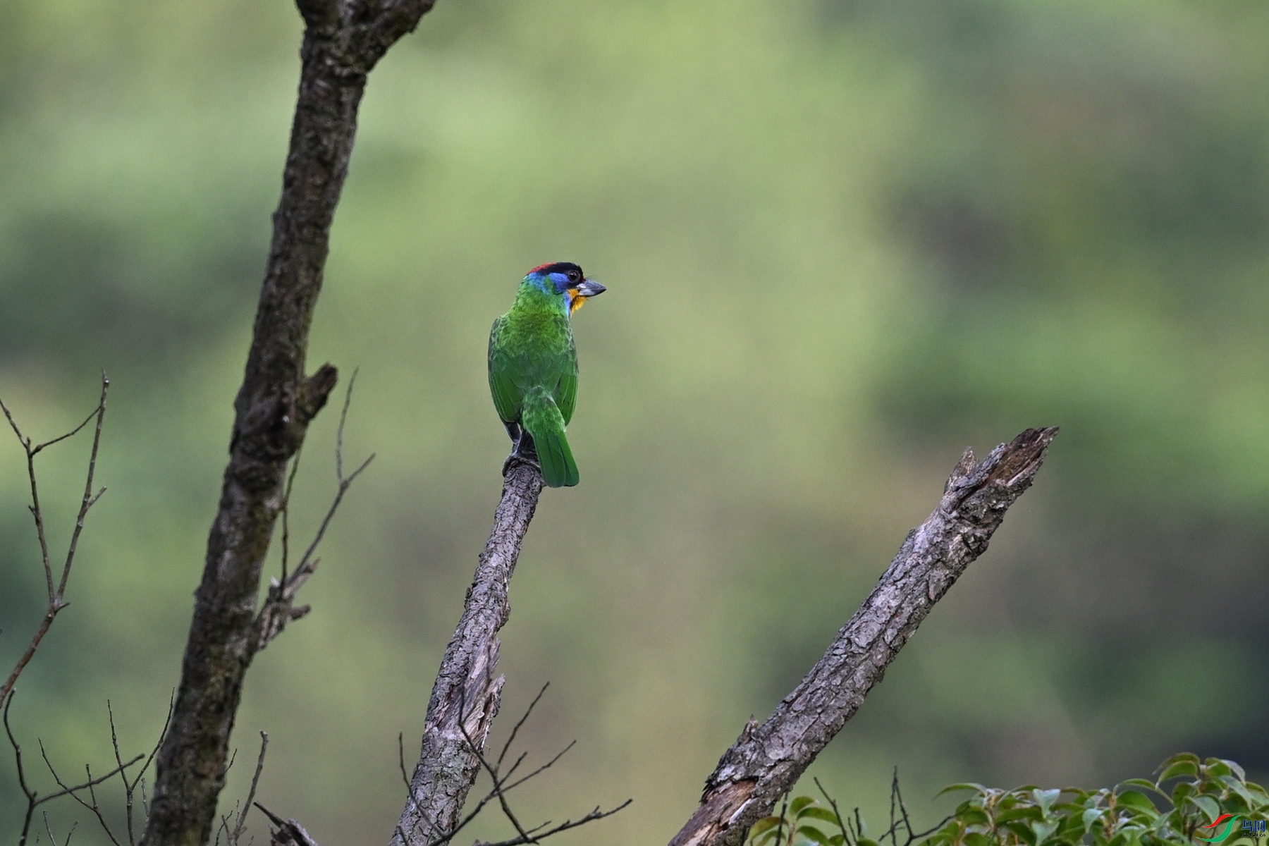 DSC_0143.JPG