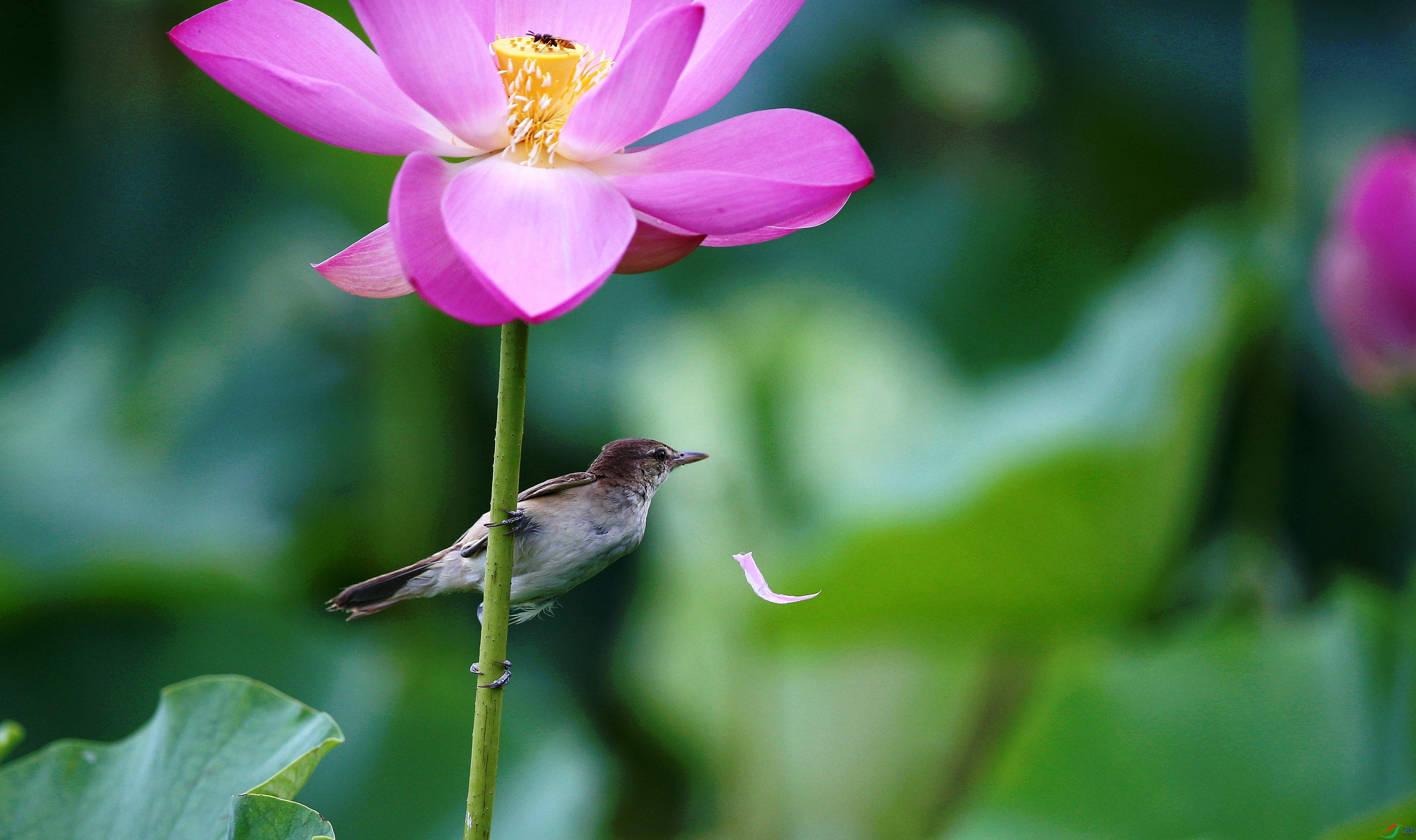 H46R5849_���� (2).jpg