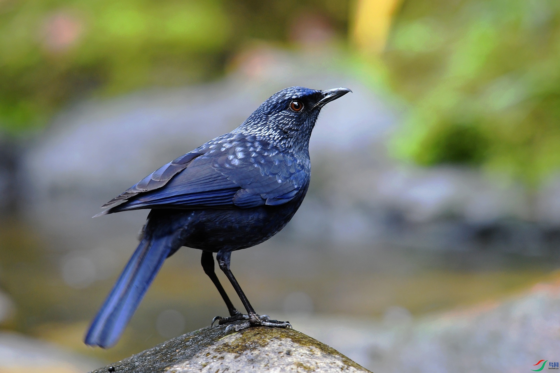 DSC_1212.jpg