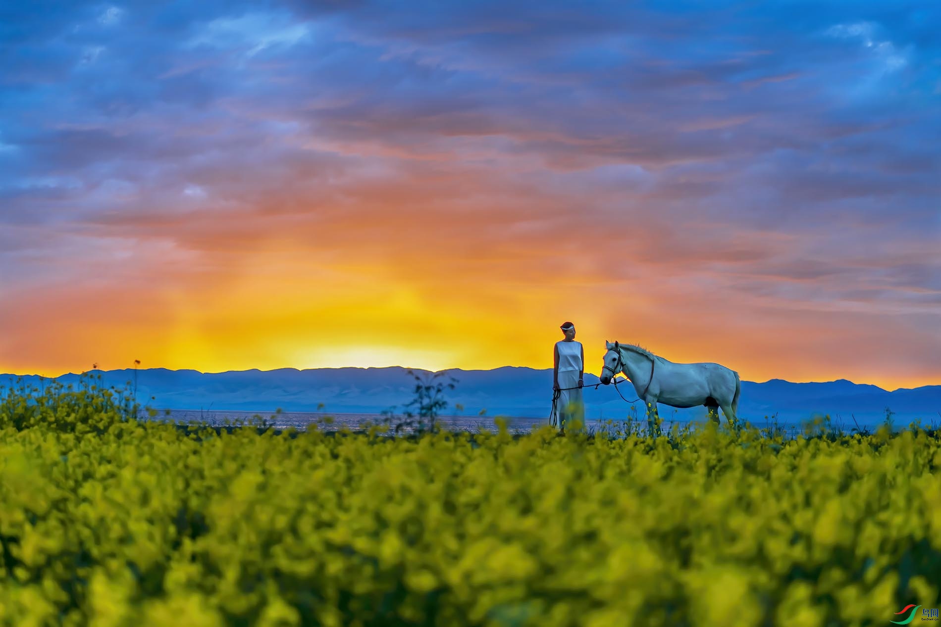 �ຣ������