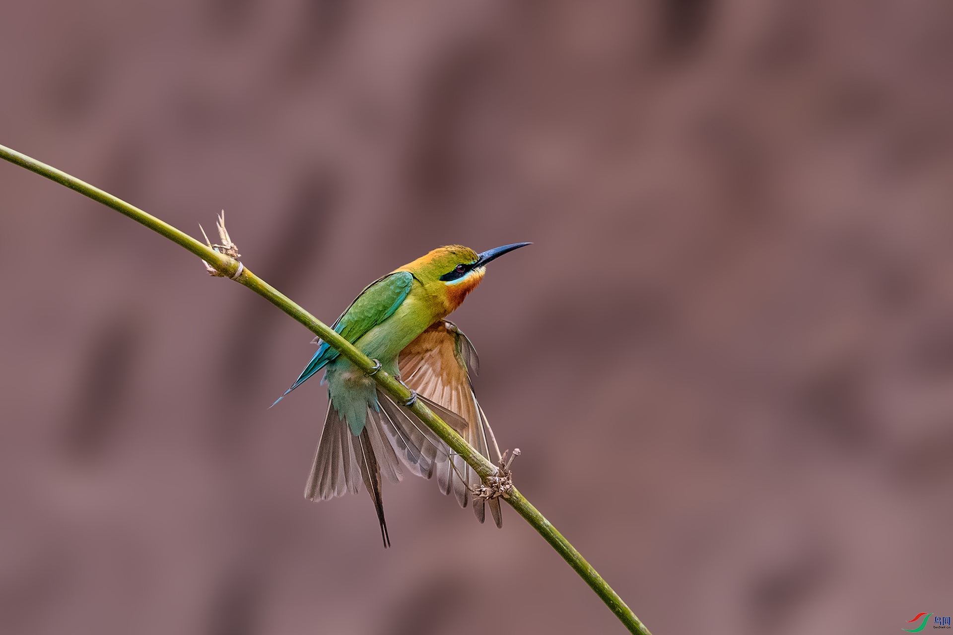 _AUU4031 ����ʱ��(25.5.11).jpg