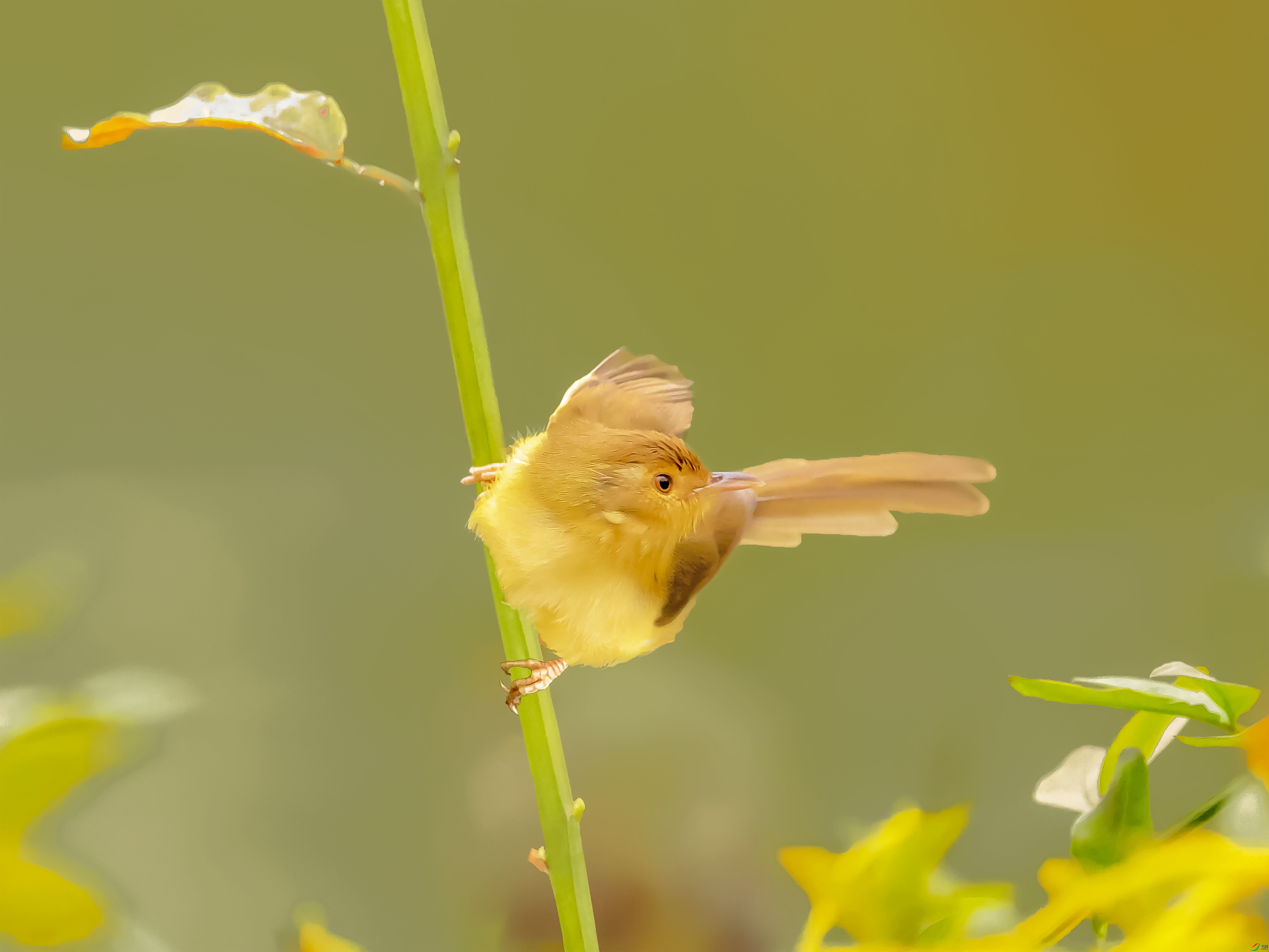 756-�ָ���.jpg