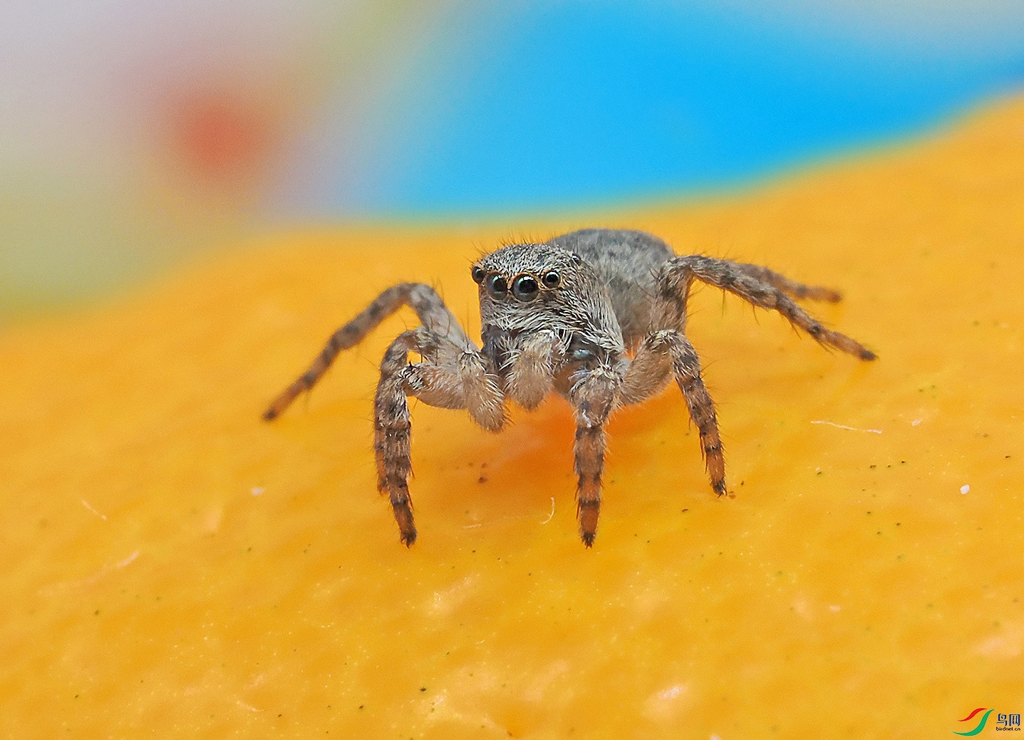 P3040117 ����.jpg