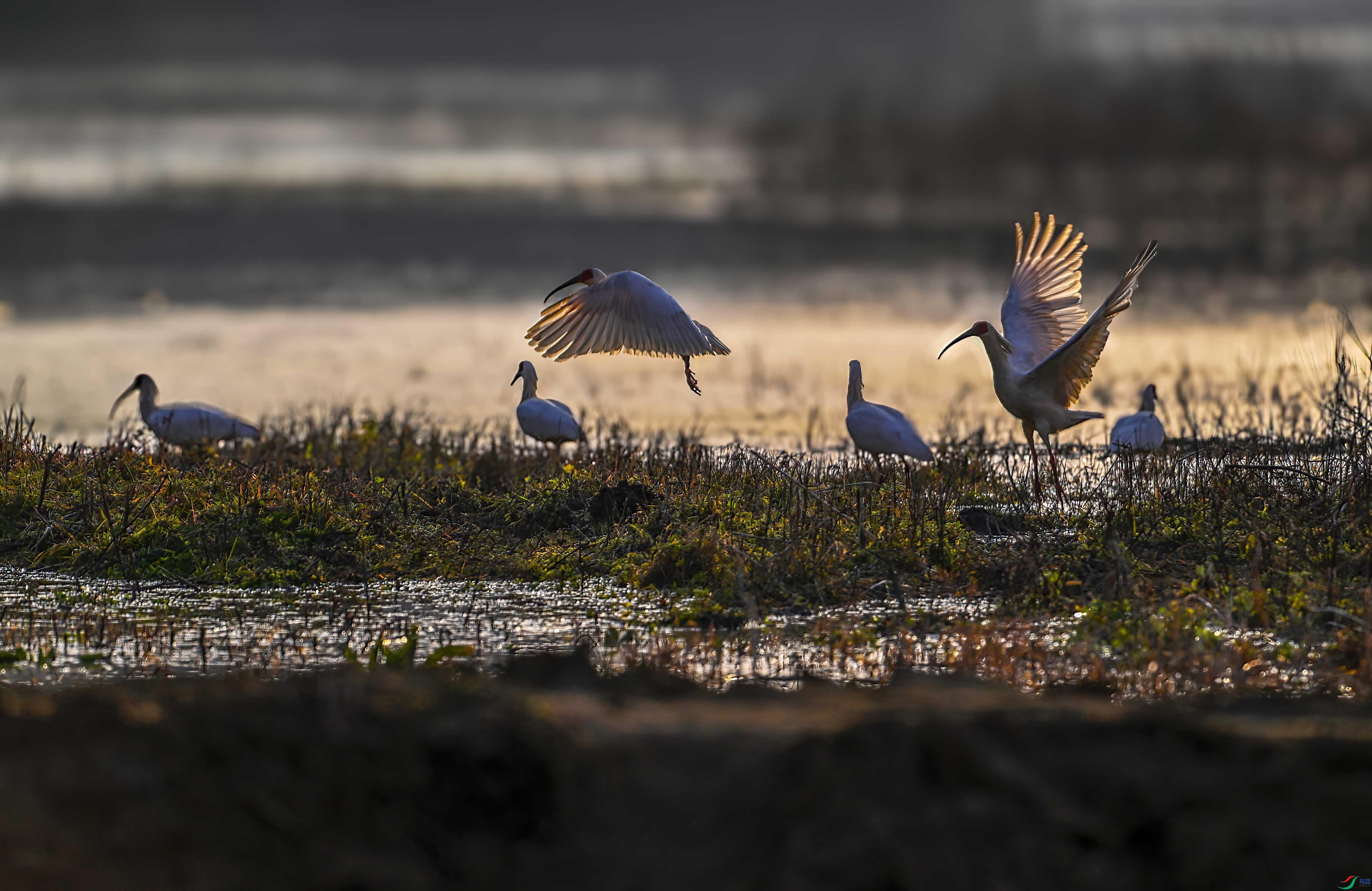 _DSC7888 ����.jpg