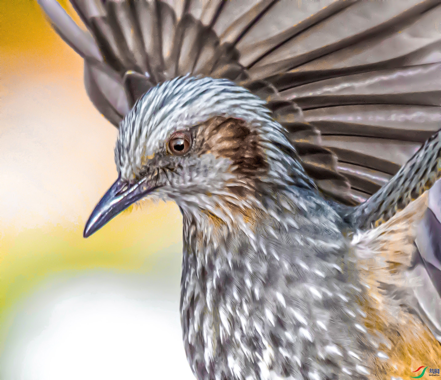 DSC_4270 ����.jpg