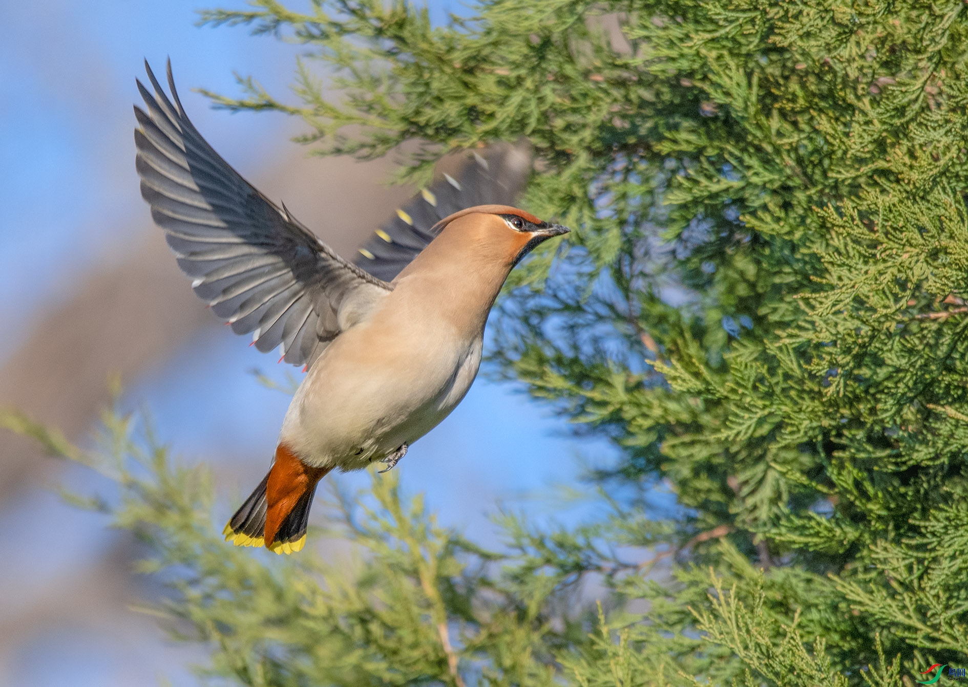 DSC_3266_��ͼ�� ����.jpg