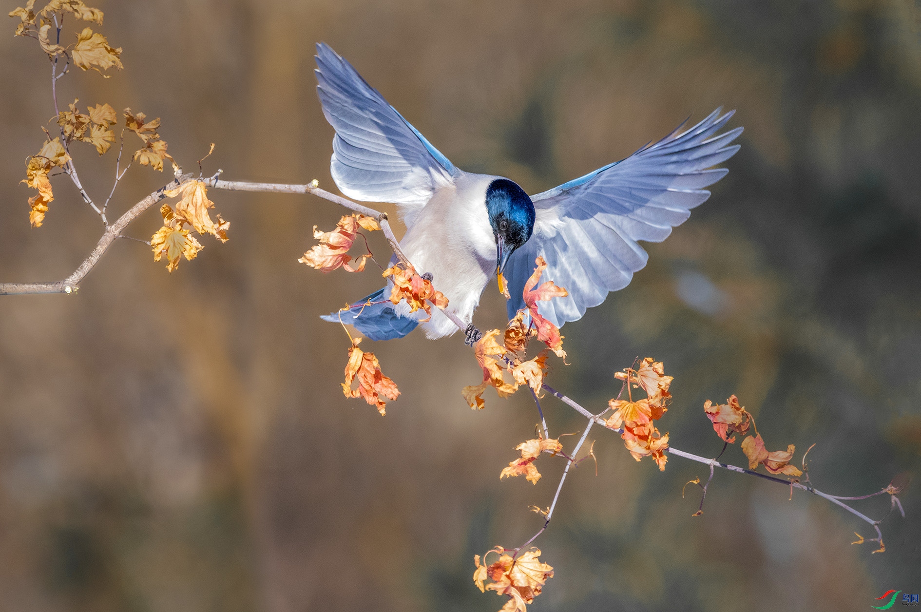 DSC_4683_��ͼ�� ���� 2.jpg