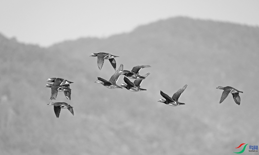 DSCF6896.1.jpg
