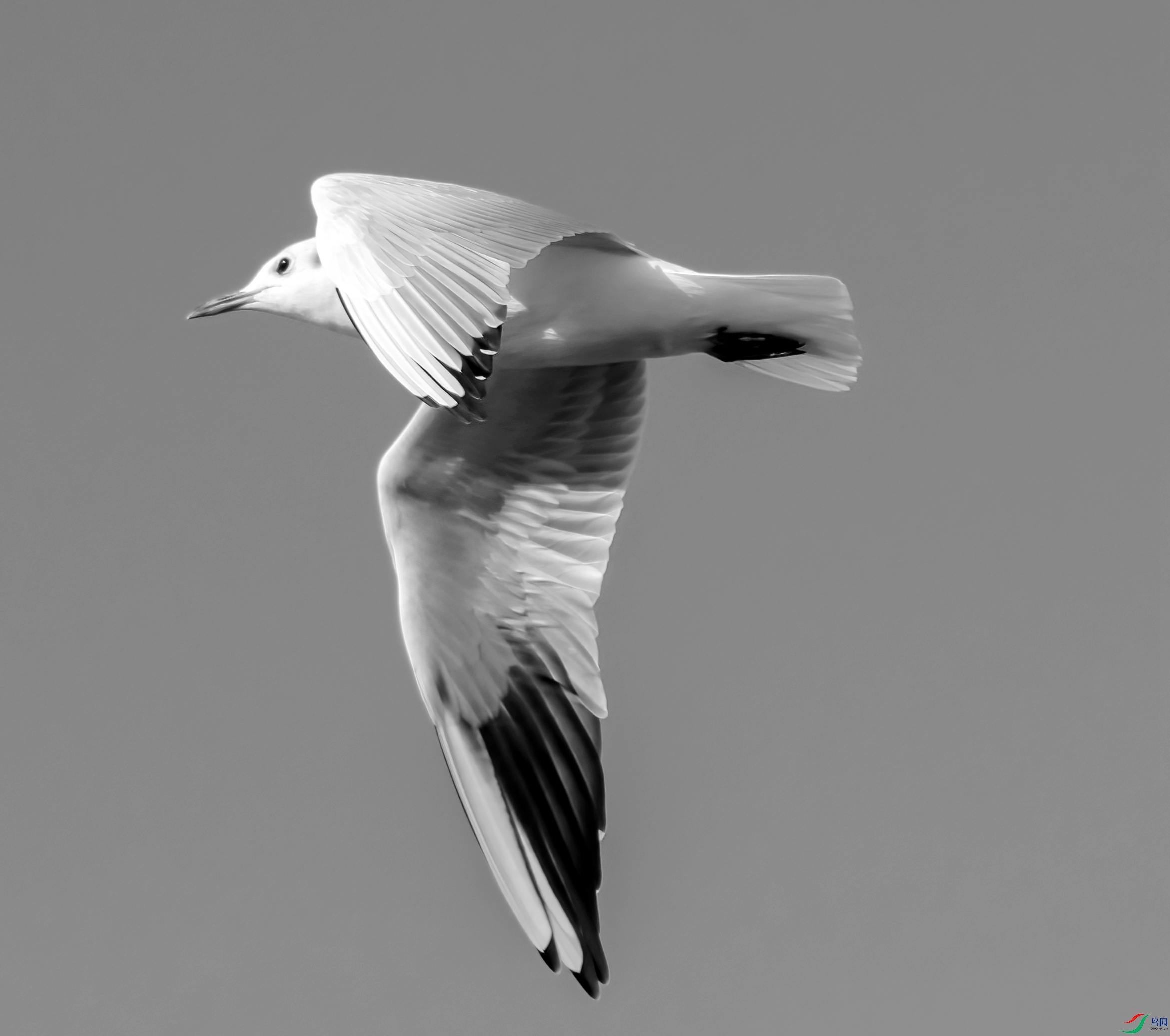 DSC_4578 ����_����.jpg