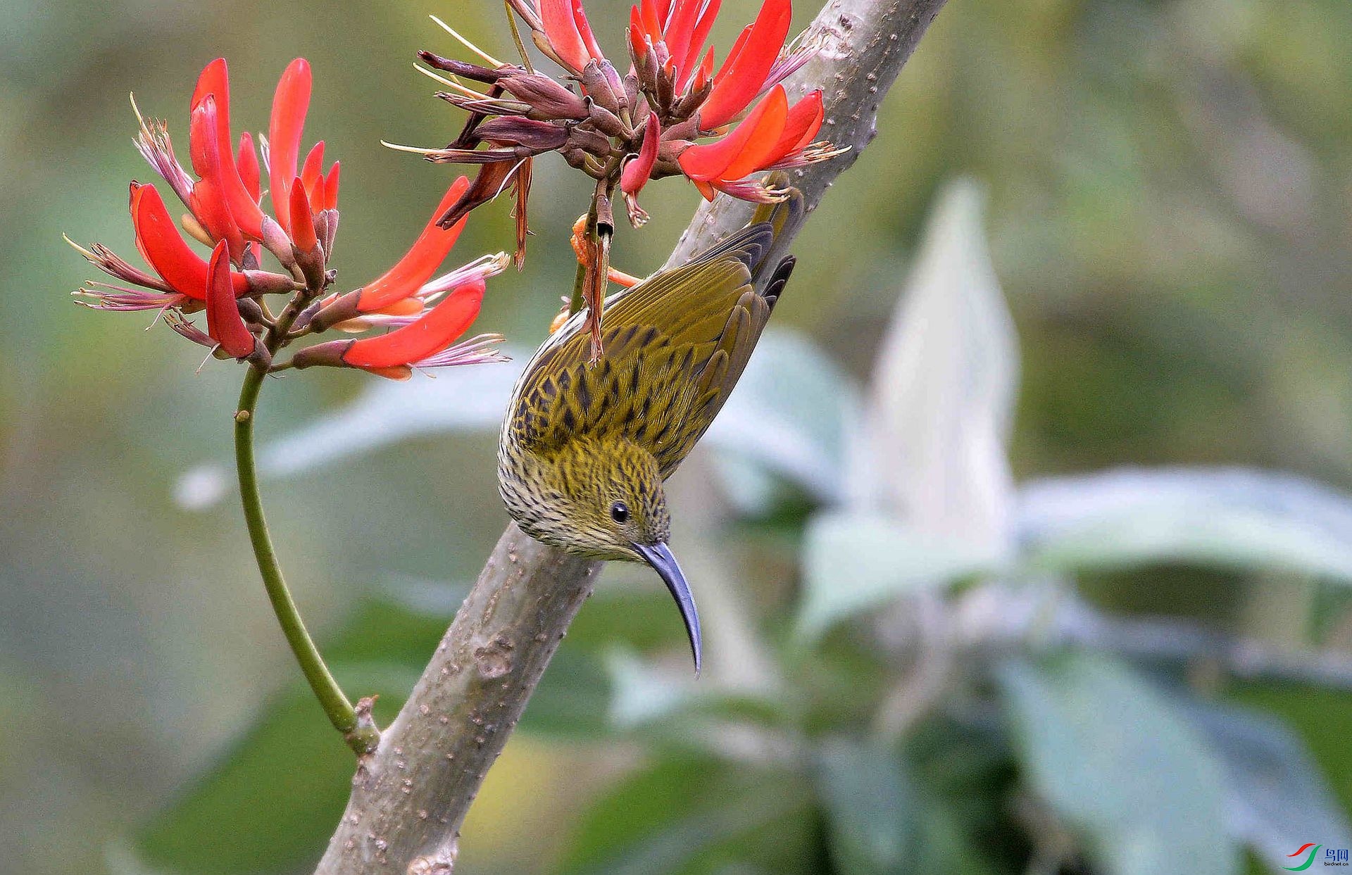 DSC_2576_���� (2).jpg