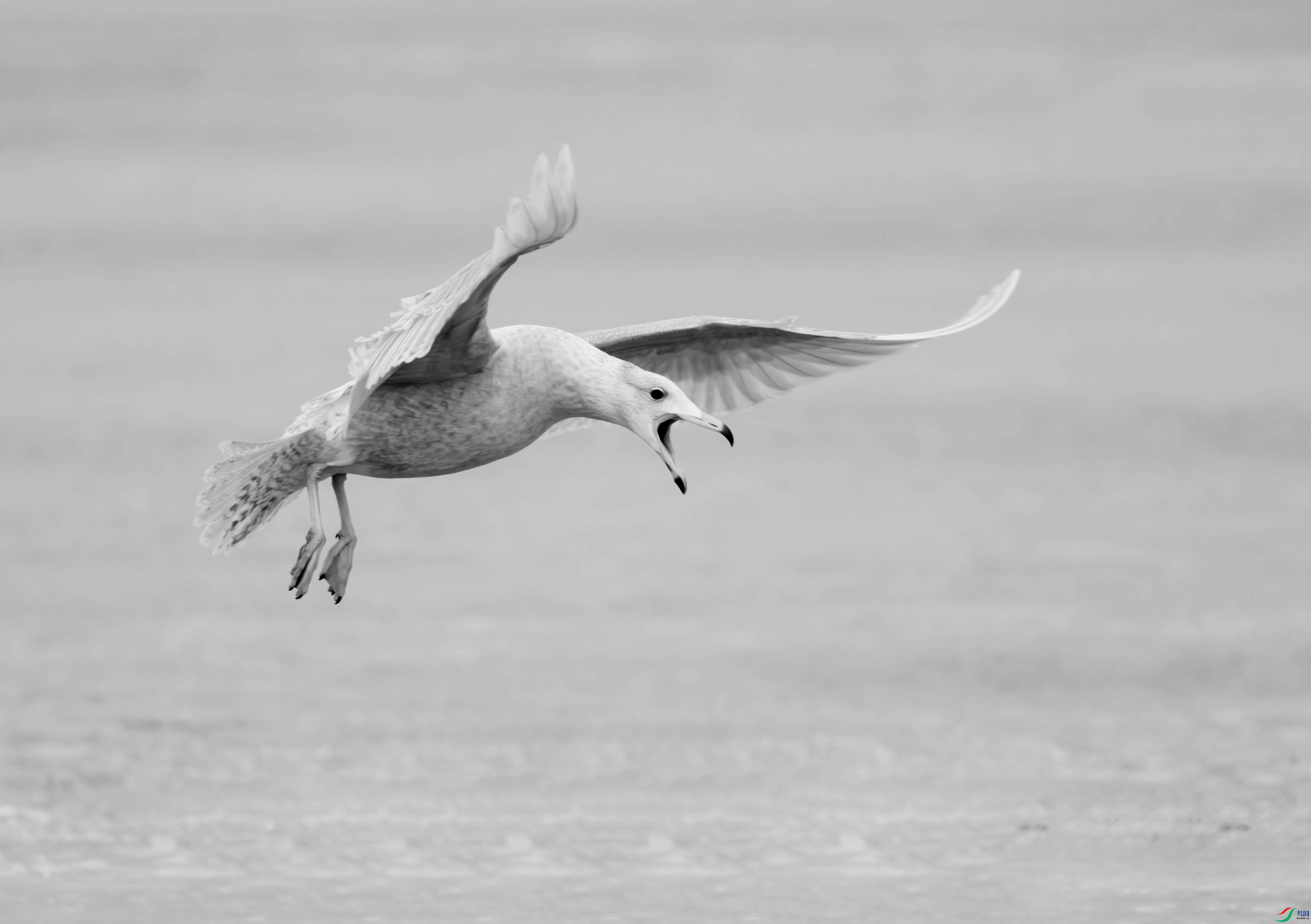 DSC07820 (2) ����_����.jpg