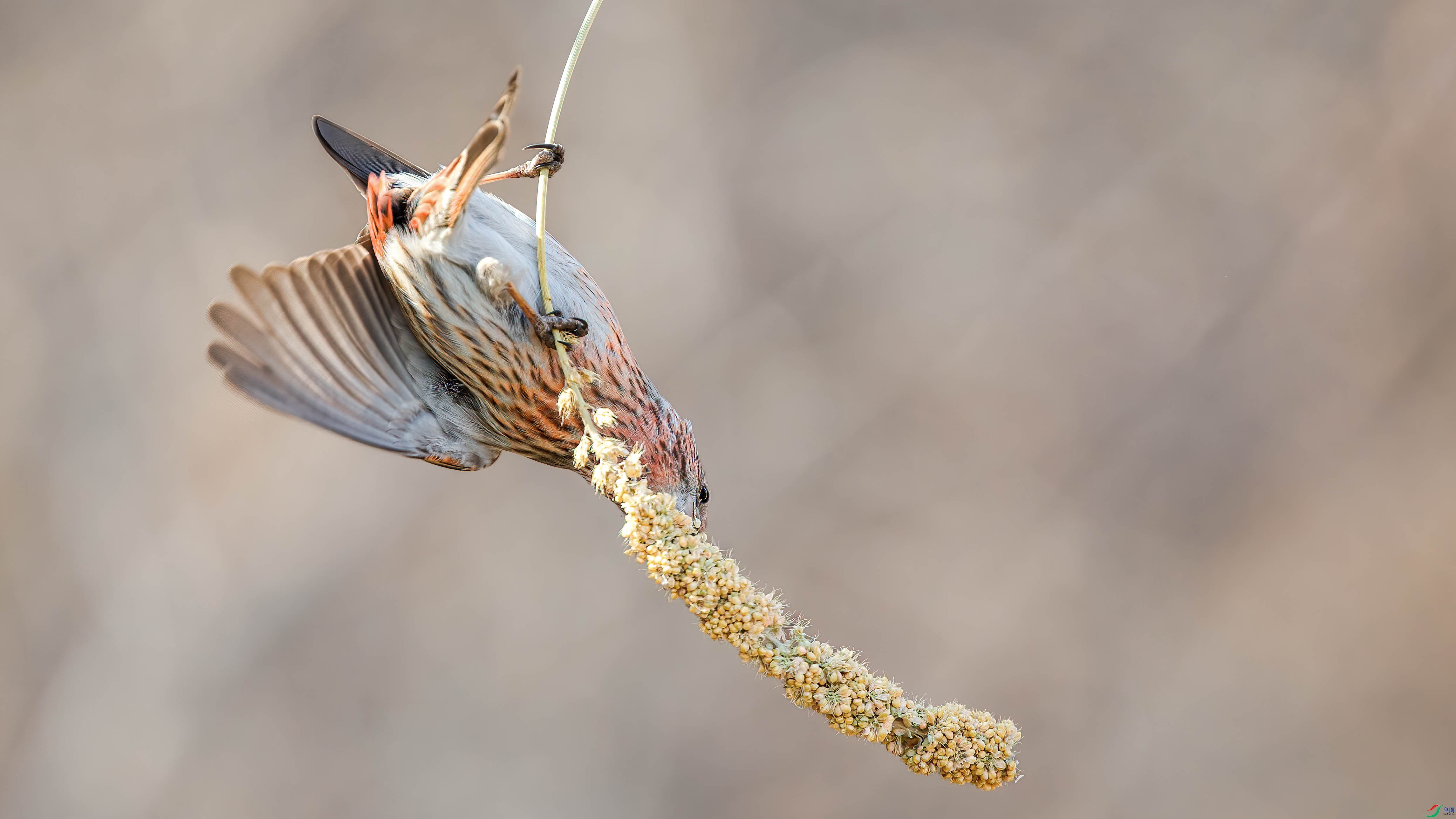 AQ4P1215-1.jpg