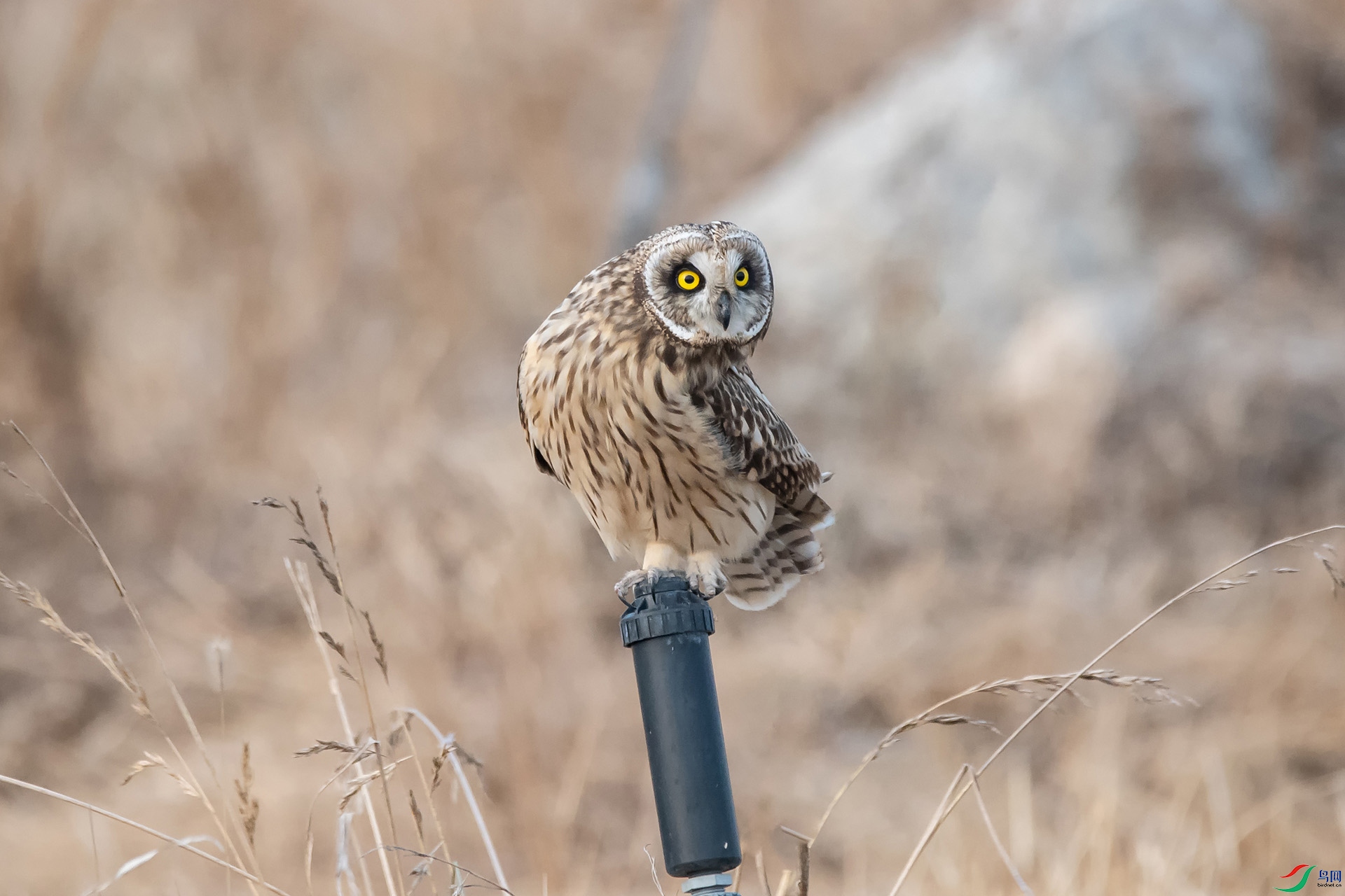 DSC_0777-20201220�ü� .jpg