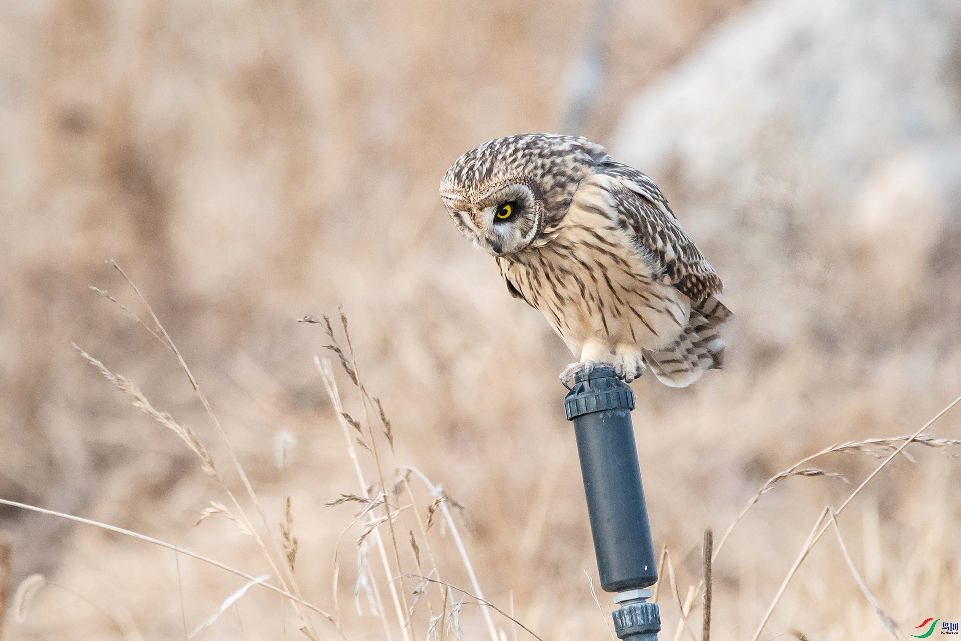 DSC_0786-20210302�ü� .jpg