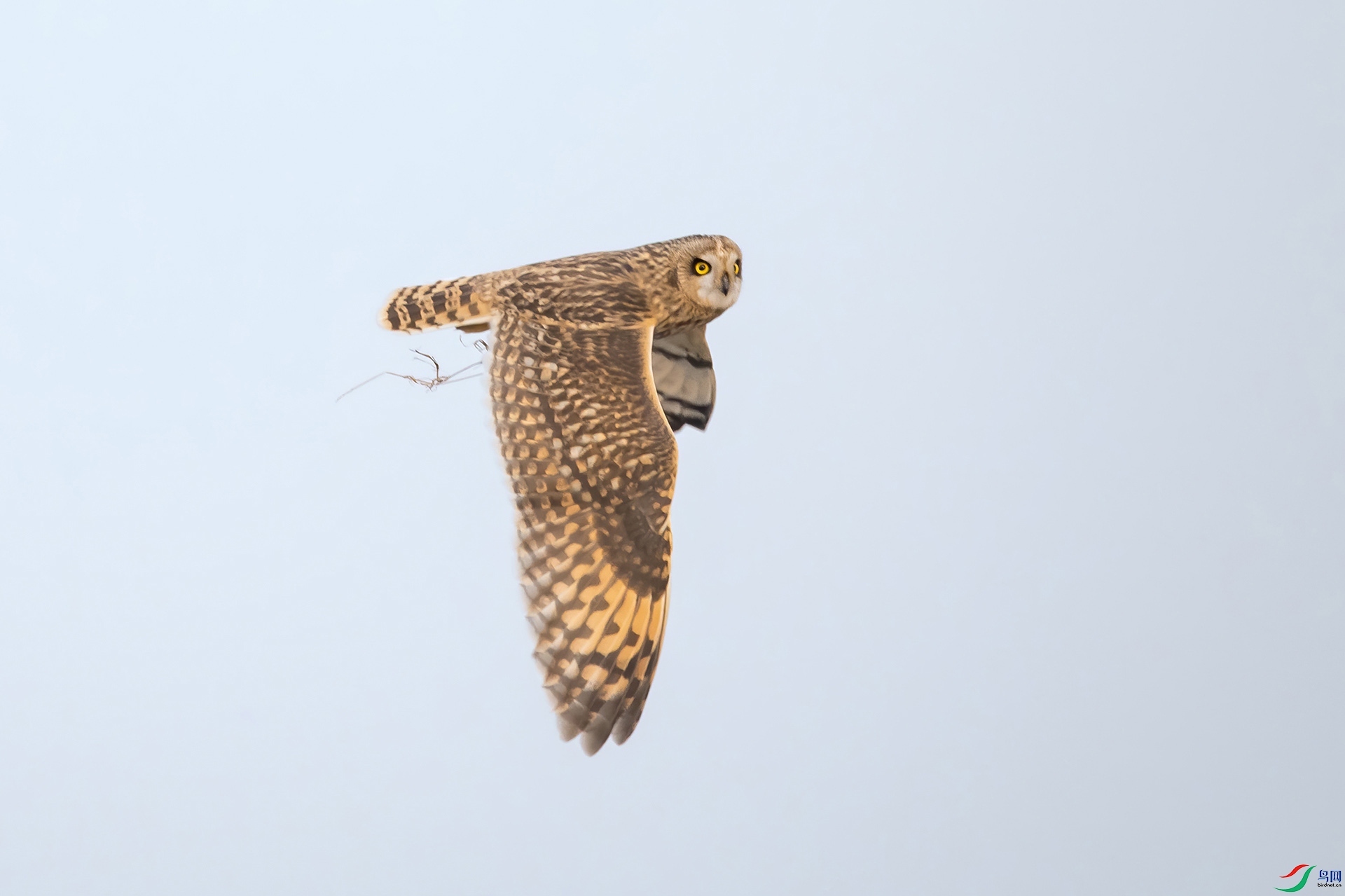 DSC_0798-20210302AI�ü� .jpg