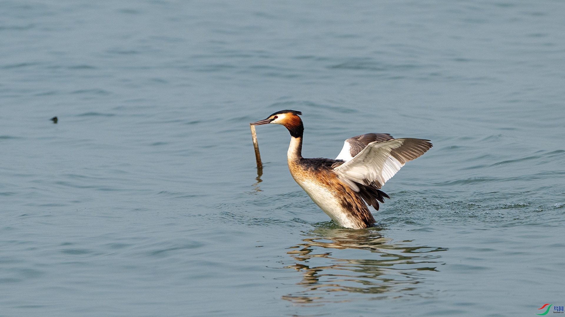 DSC_1011 ����.jpg