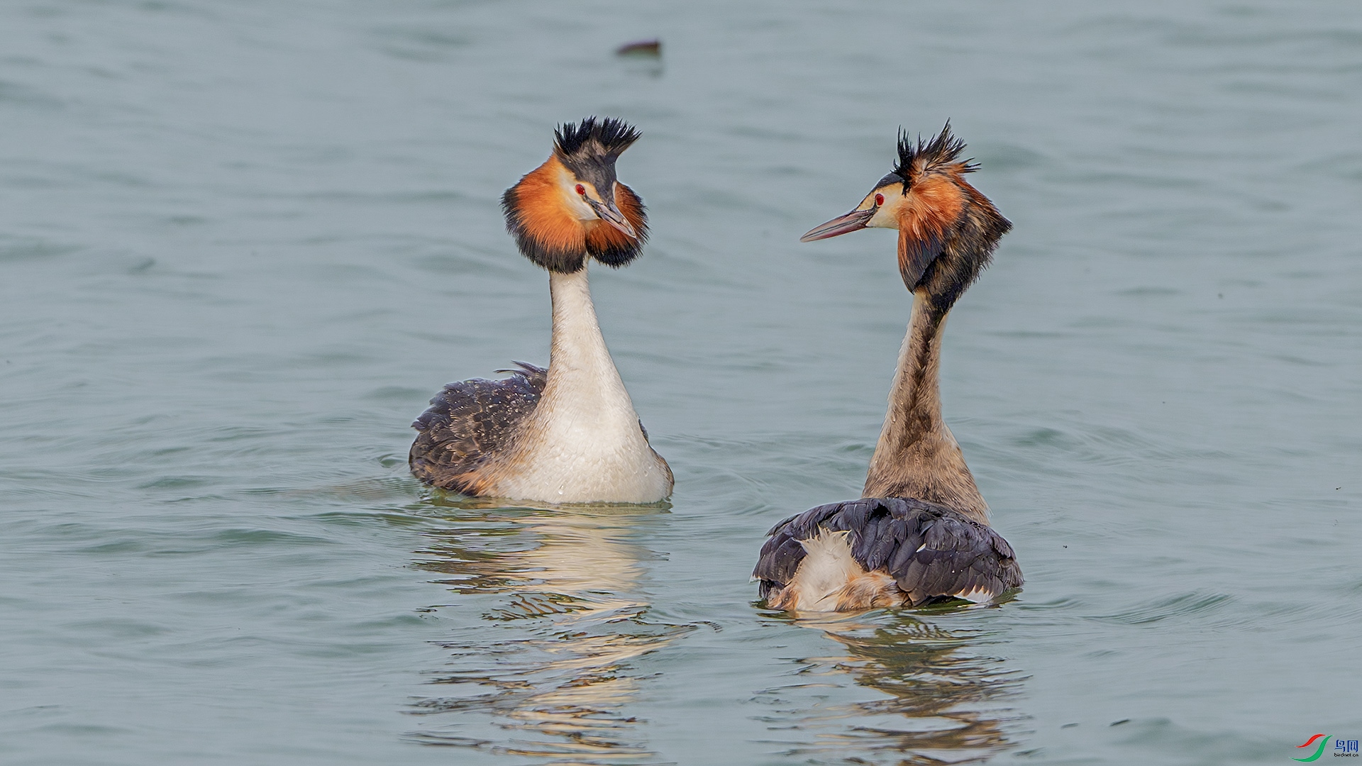 DSC_5224-����ǿ-NR ����.jpg