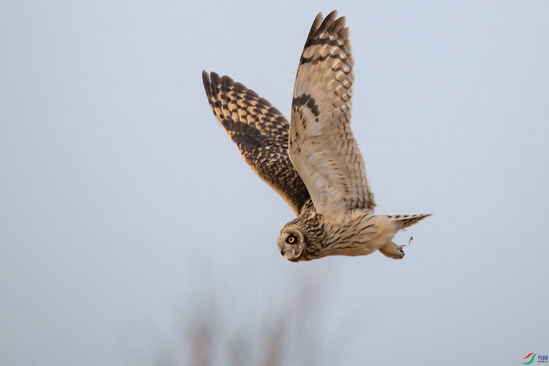 DSC_0811-20210302AI�ü� .jpg