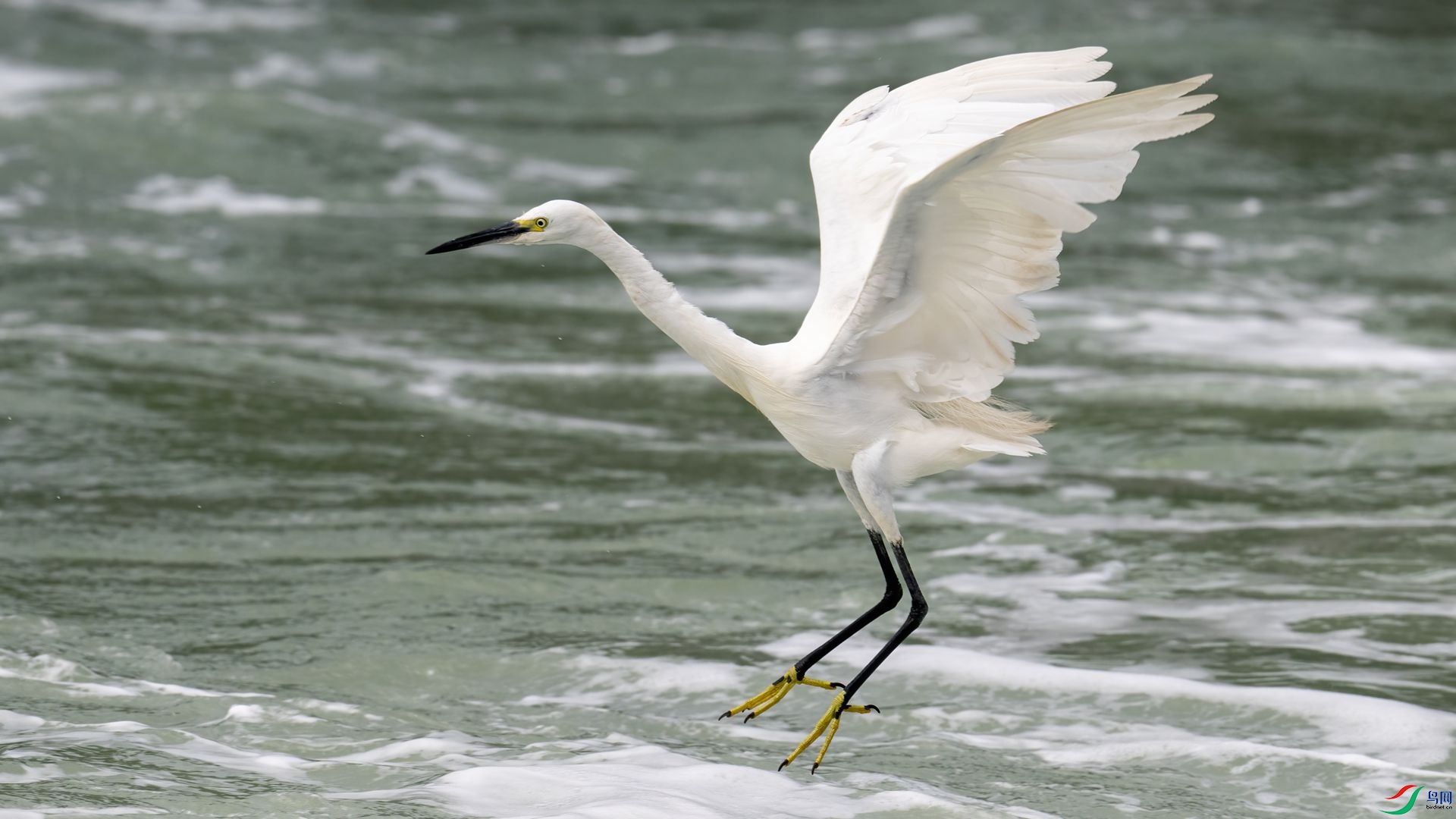 _DSC1093 ����.jpg