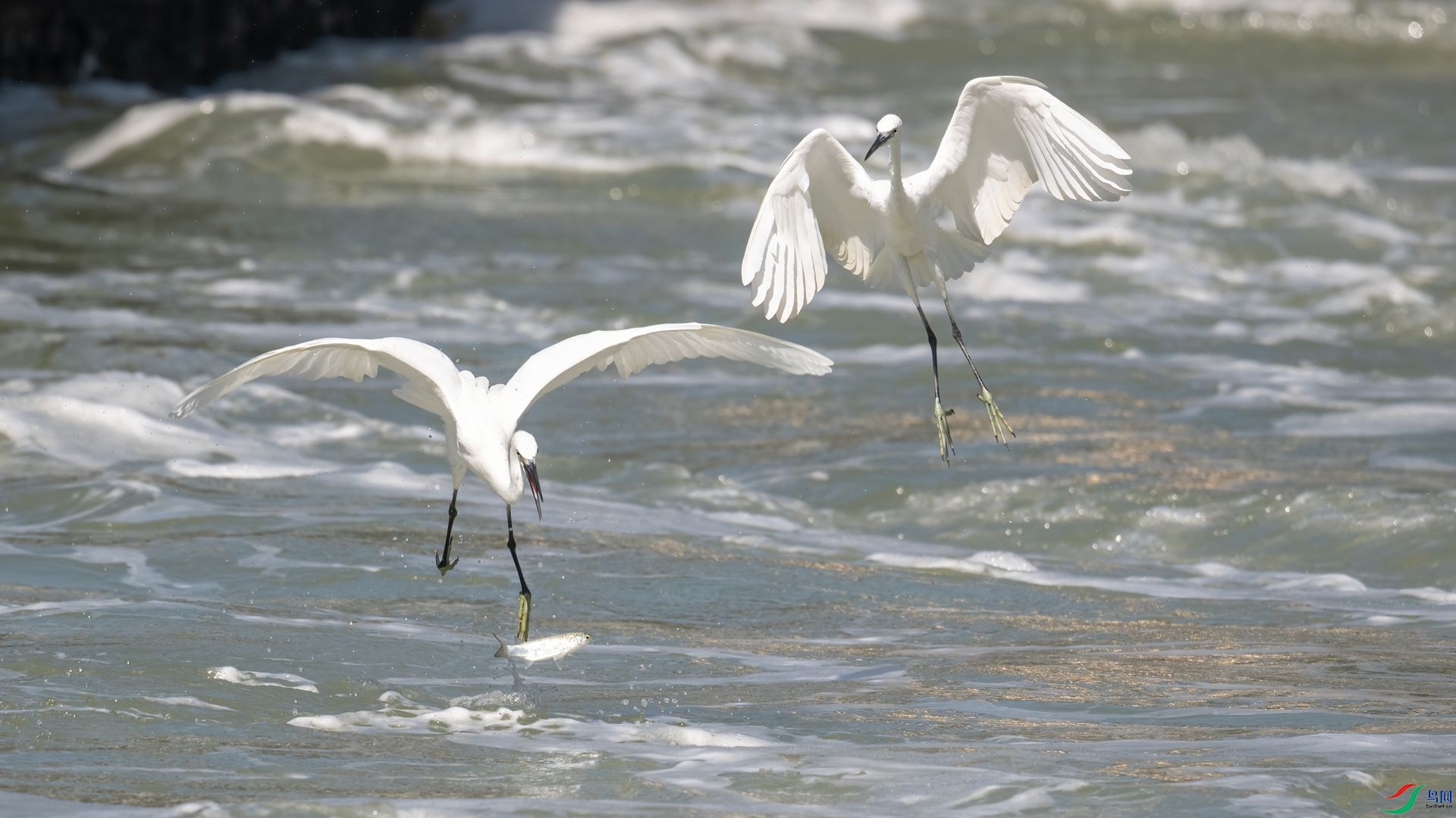 _DSC4274 ����.jpg