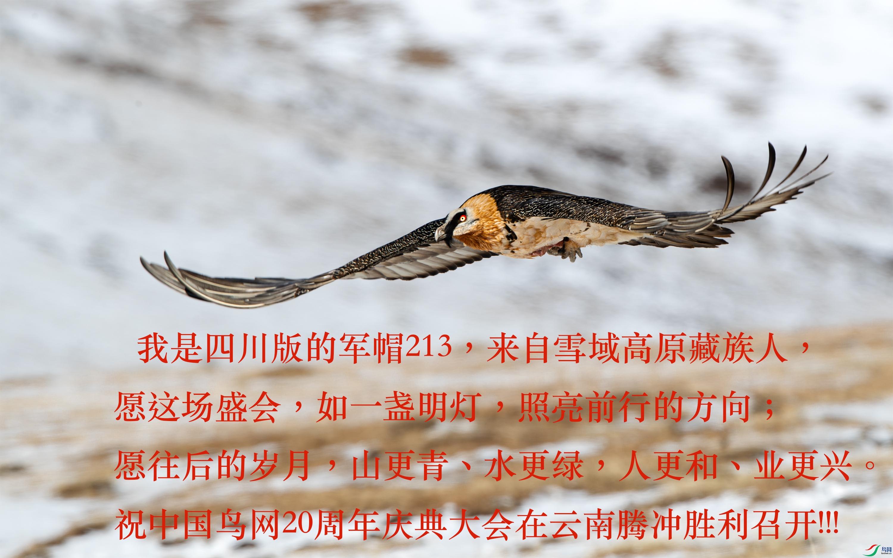 AY8I0213- ����.jpg