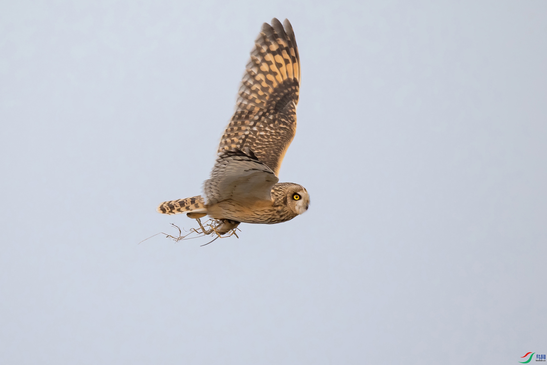 DSC_0797-20210302AI�ü� .jpg