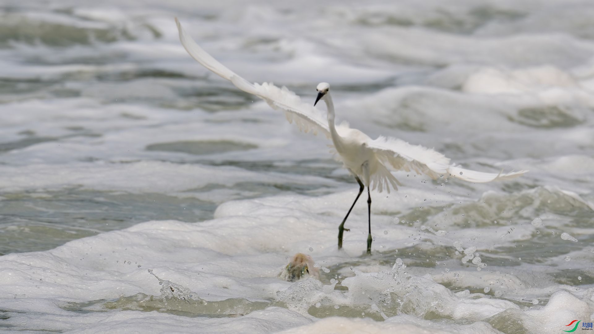 _DSC7916 ����.jpg